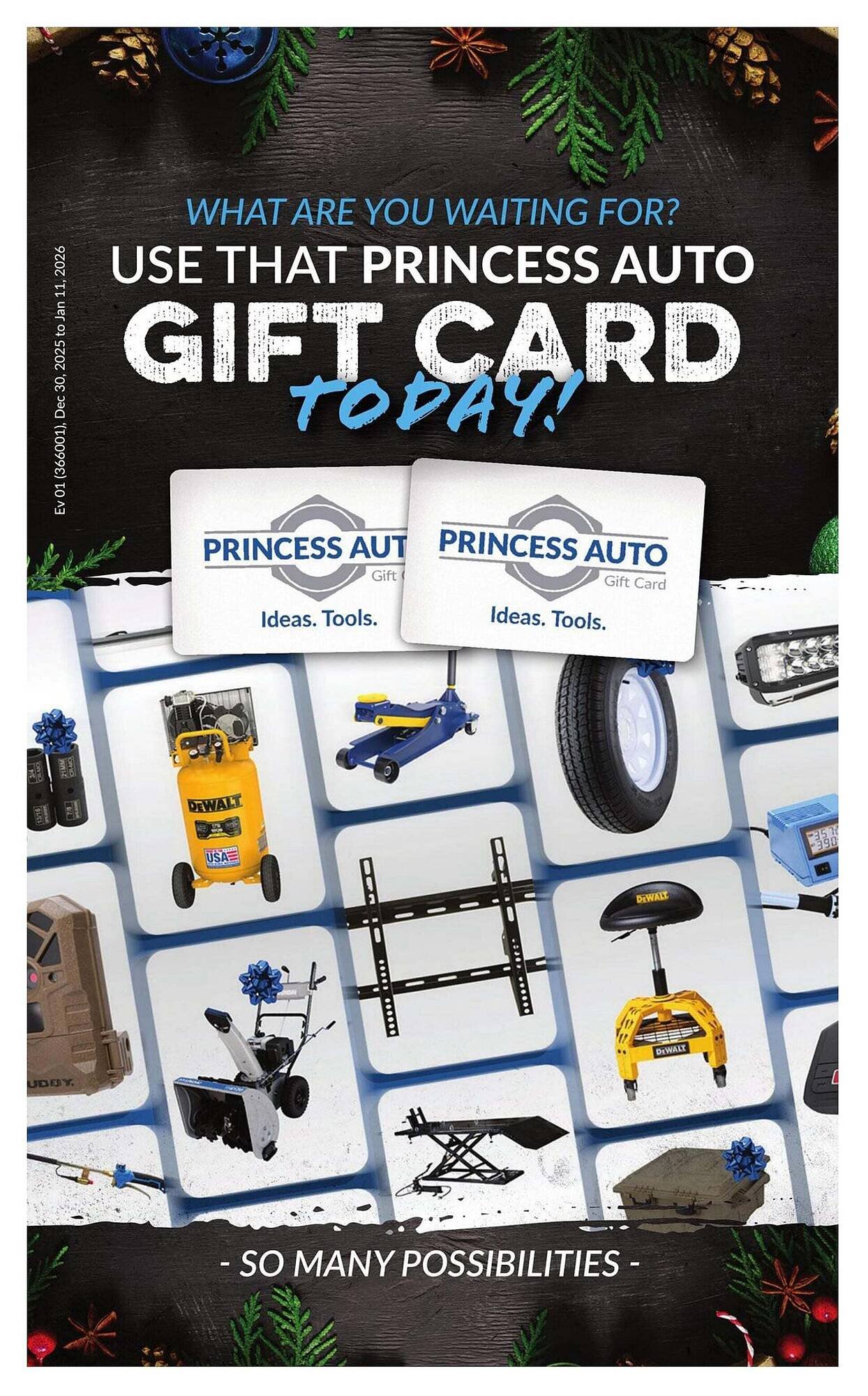 Princess Auto flyer (2025-12-26 - 2026-01-02) | 11