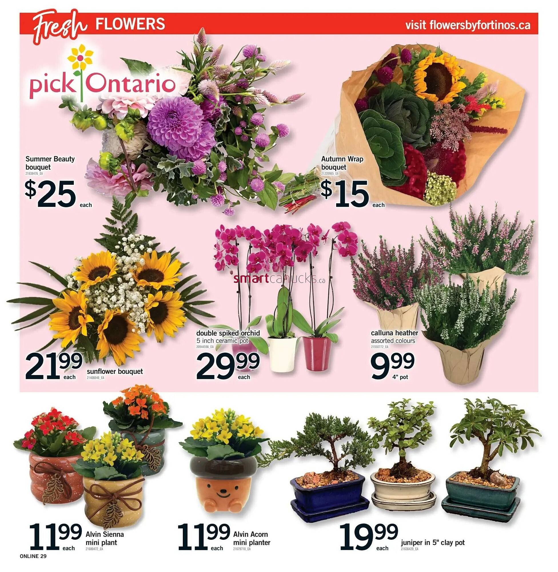 Fortinos flyer