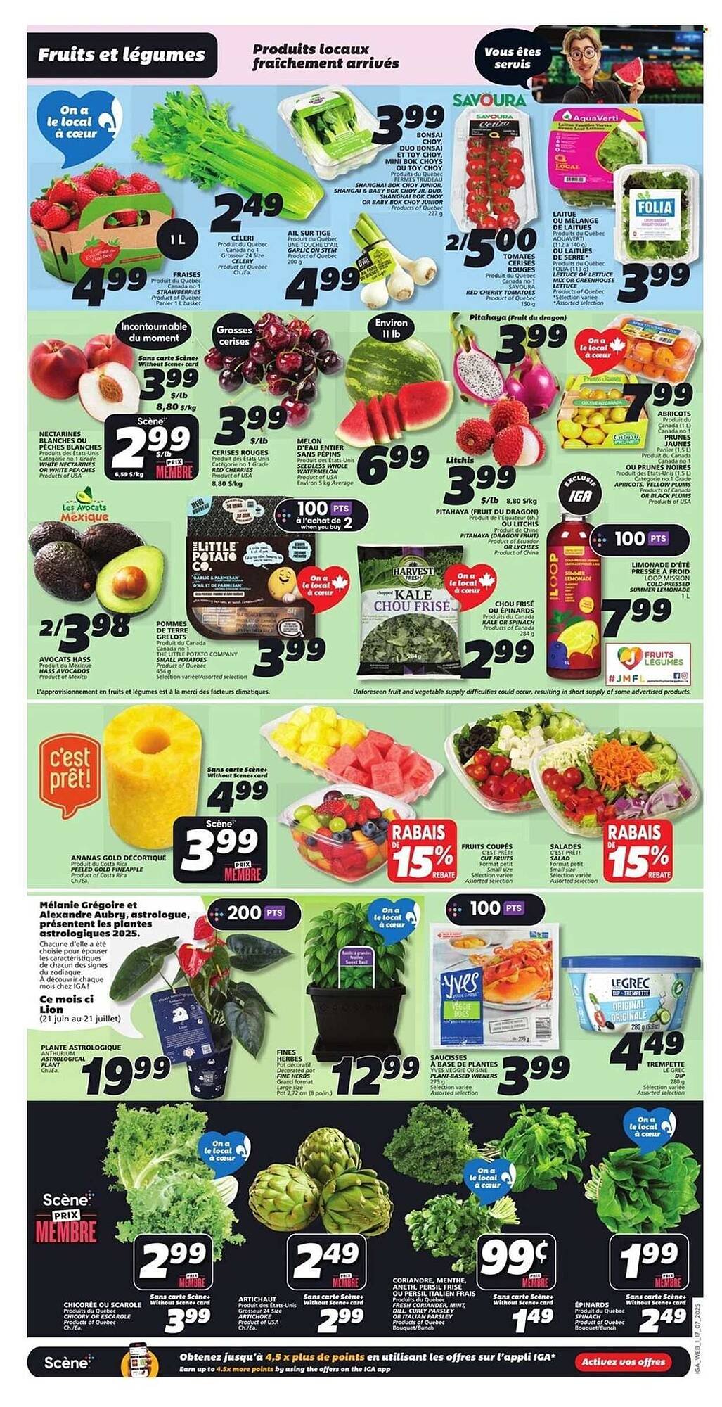 IGA flyer