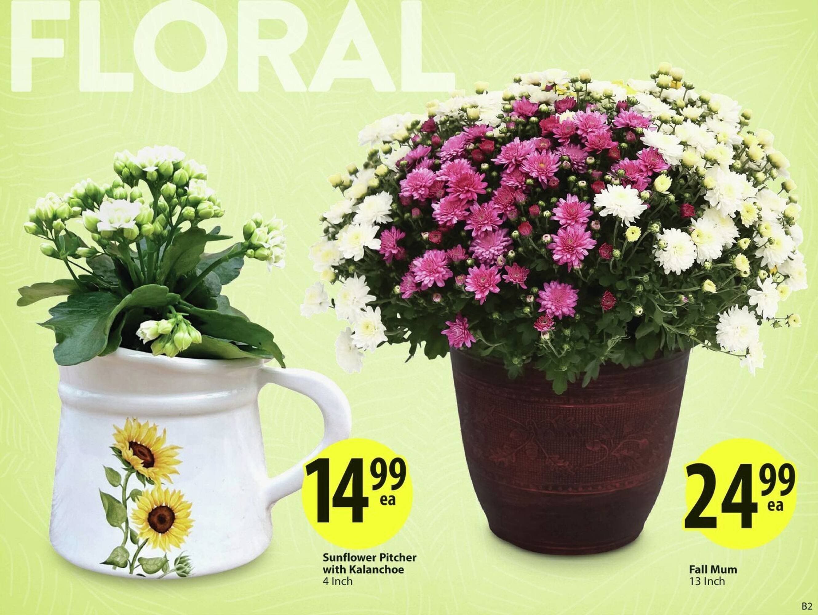 Save on Foods flyer