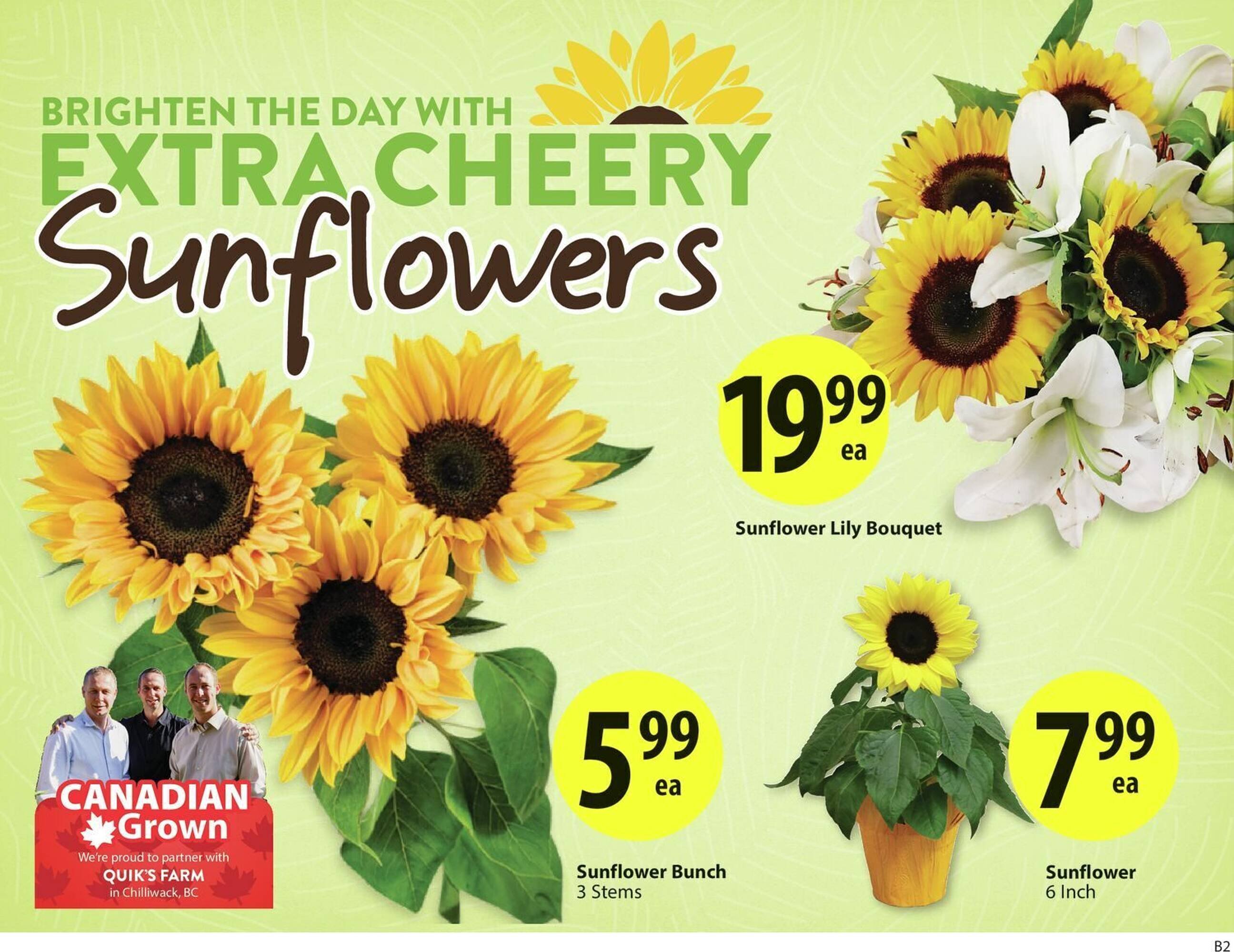 Save on Foods flyer