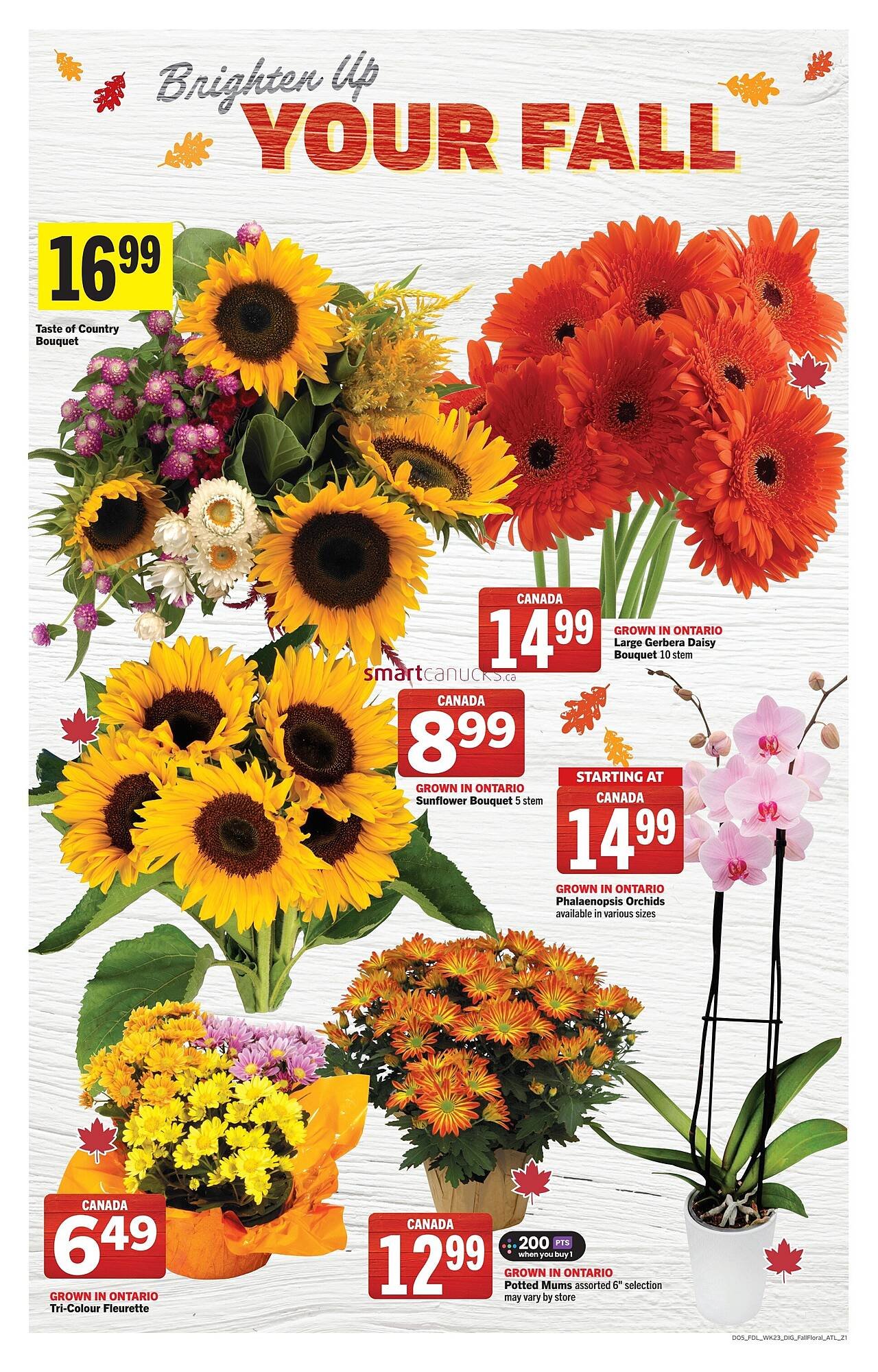 Foodland flyer