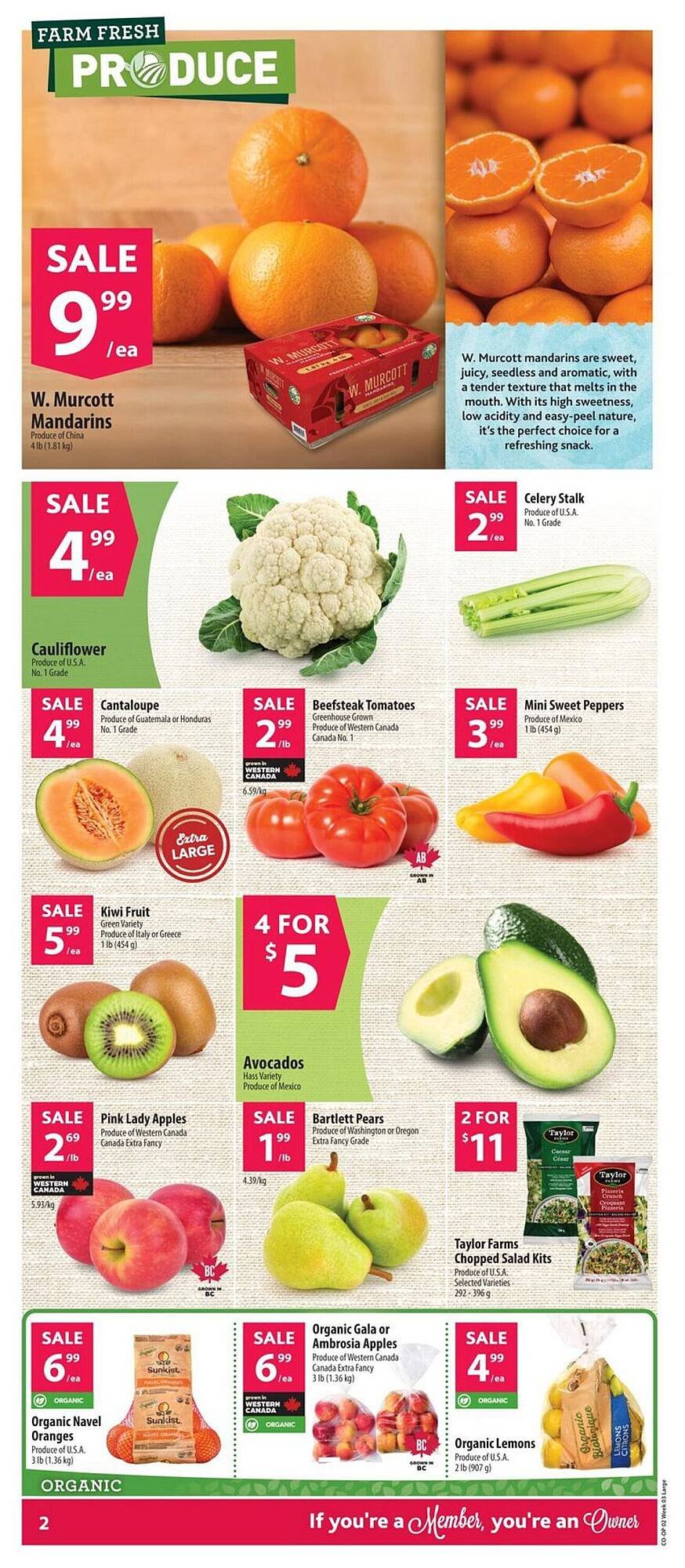 Co-op flyer (2026-01-15 - 2026-01-21) | 3