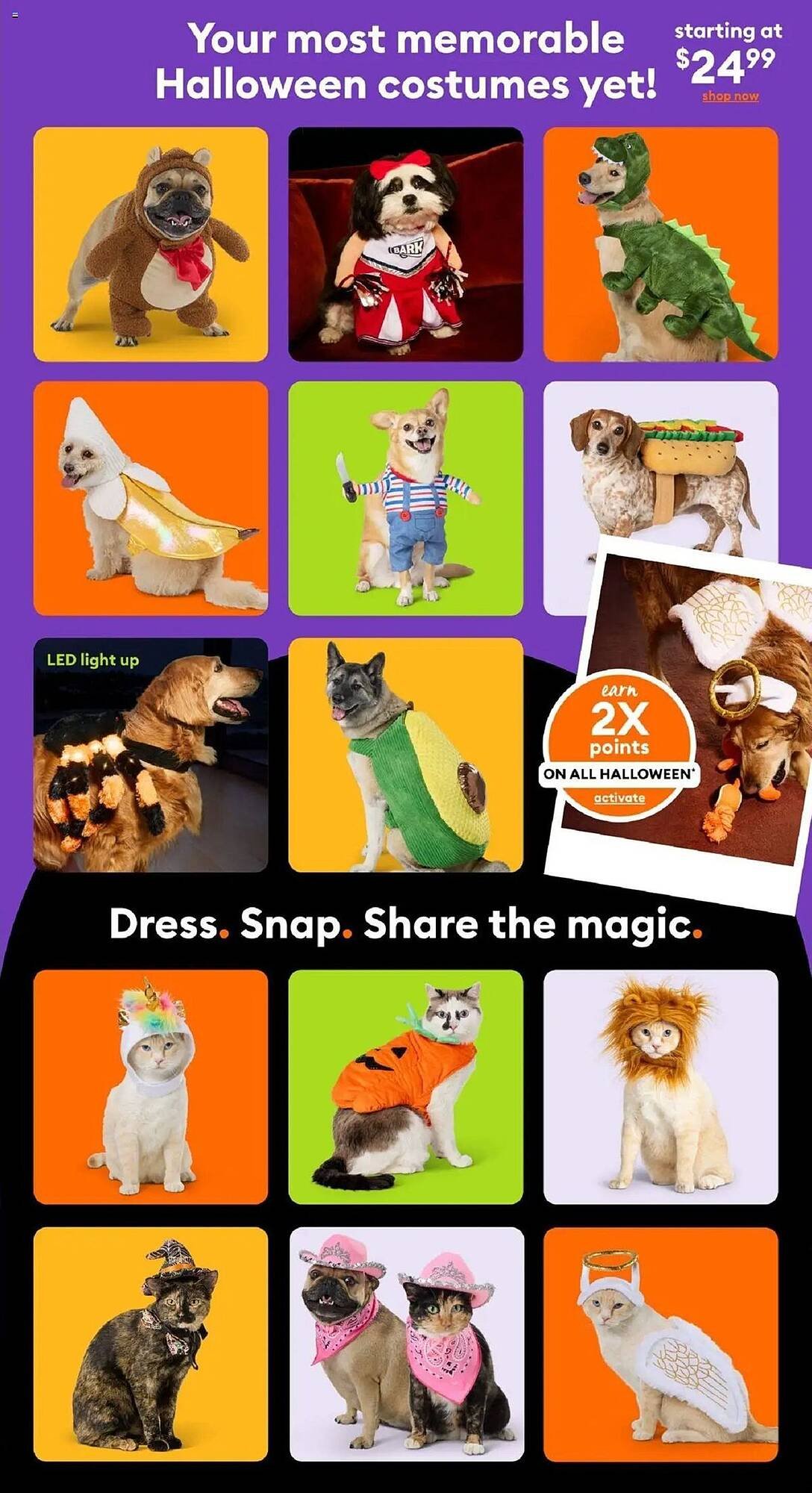 Petsmart flyer