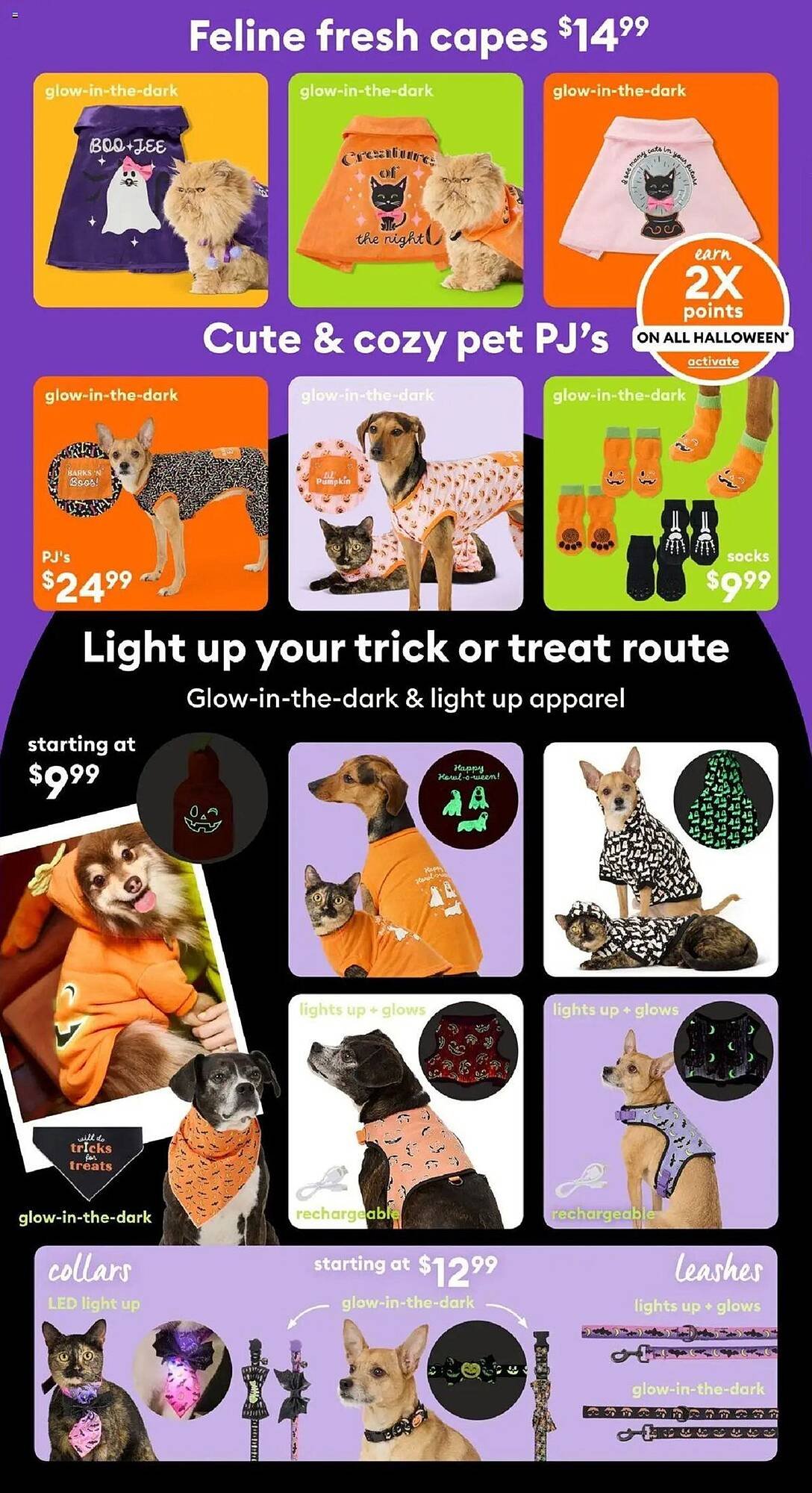 Petsmart flyer