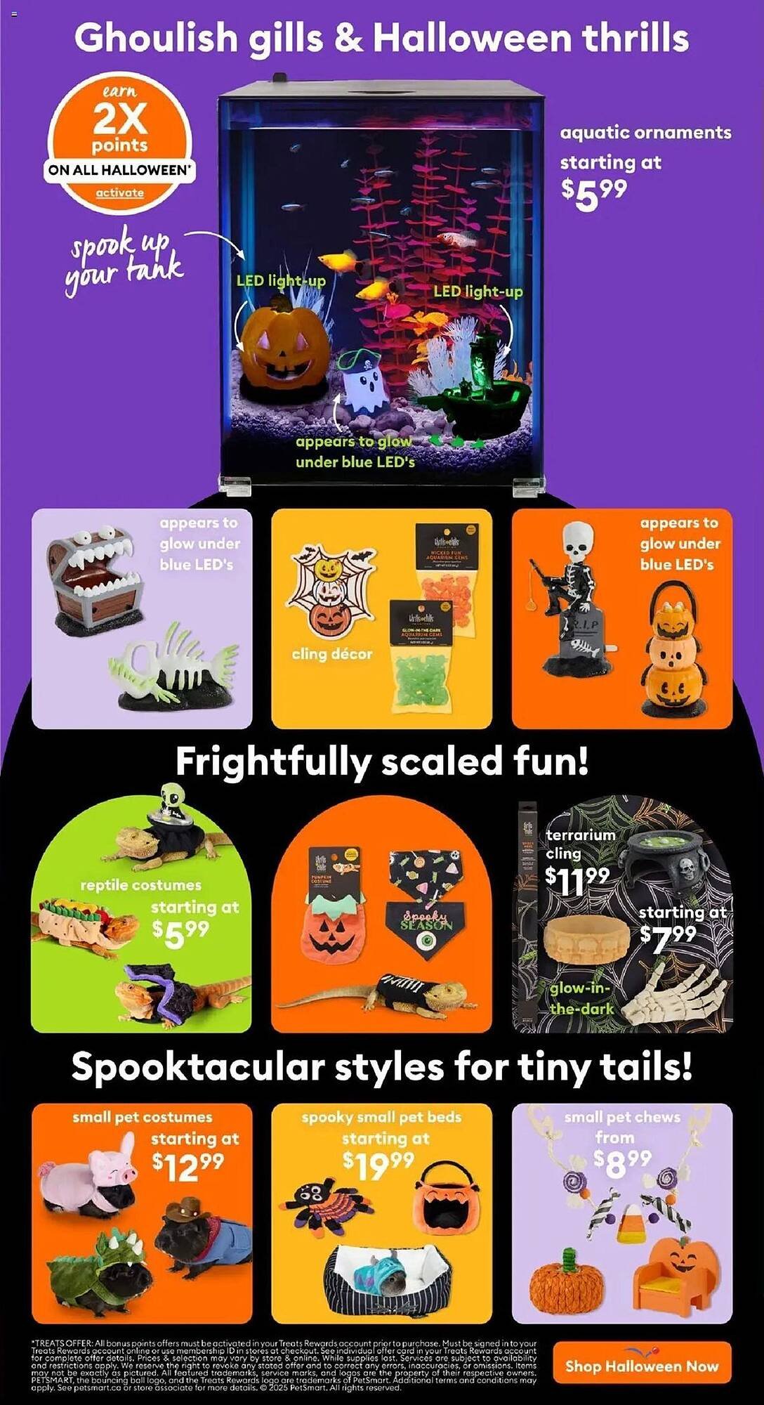 Petsmart flyer
