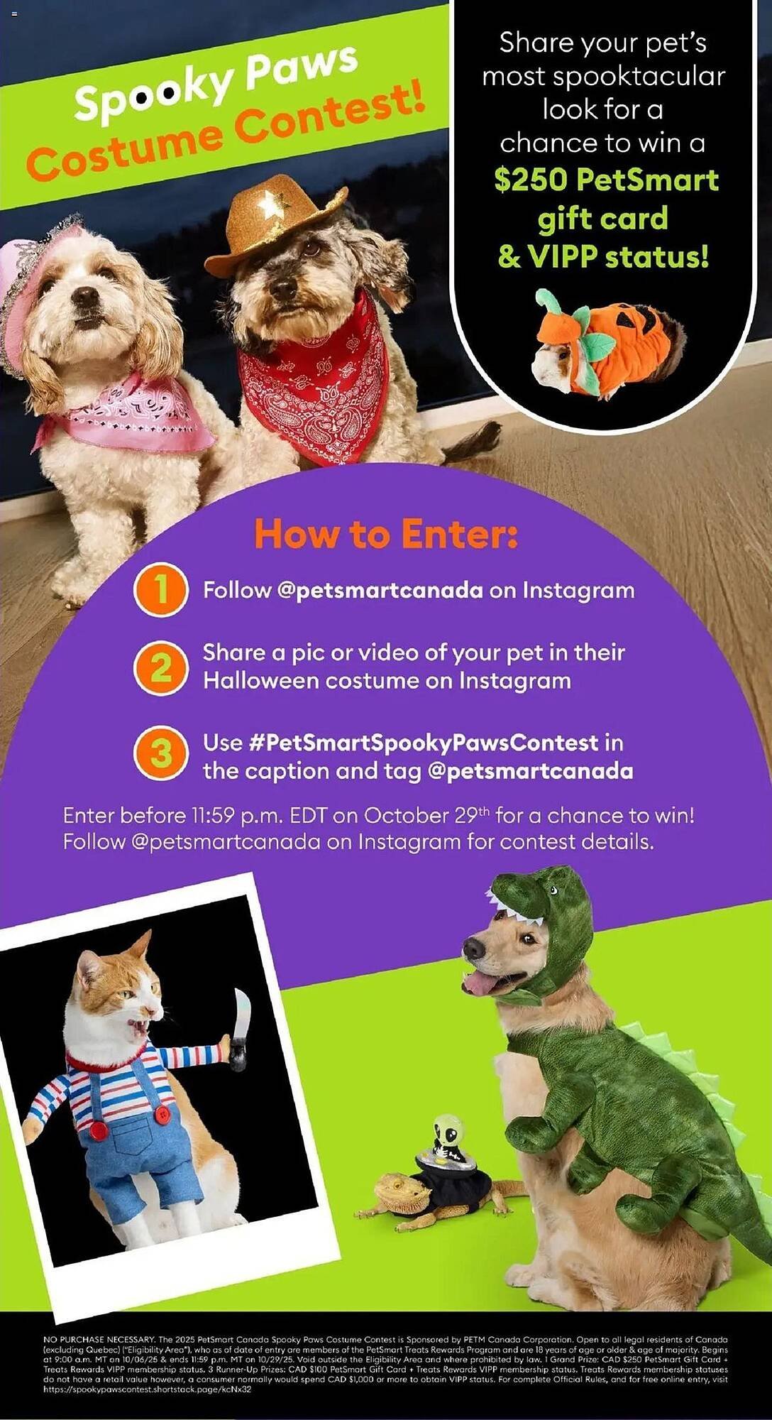 Petsmart flyer