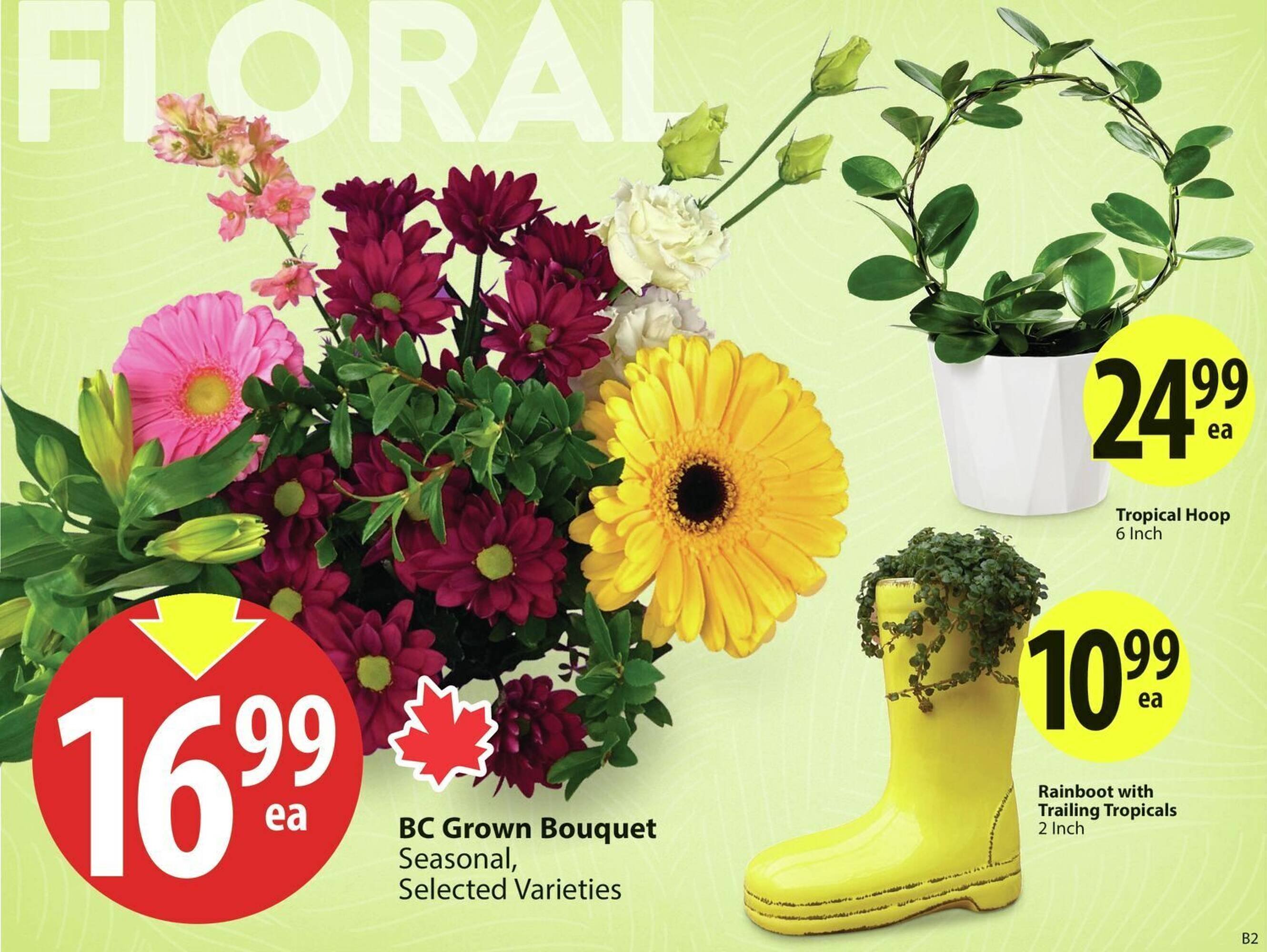 Save on Foods flyer