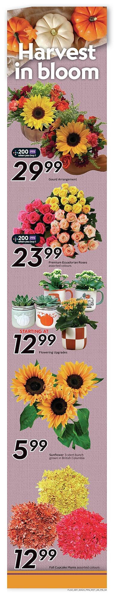 Safeway flyer
