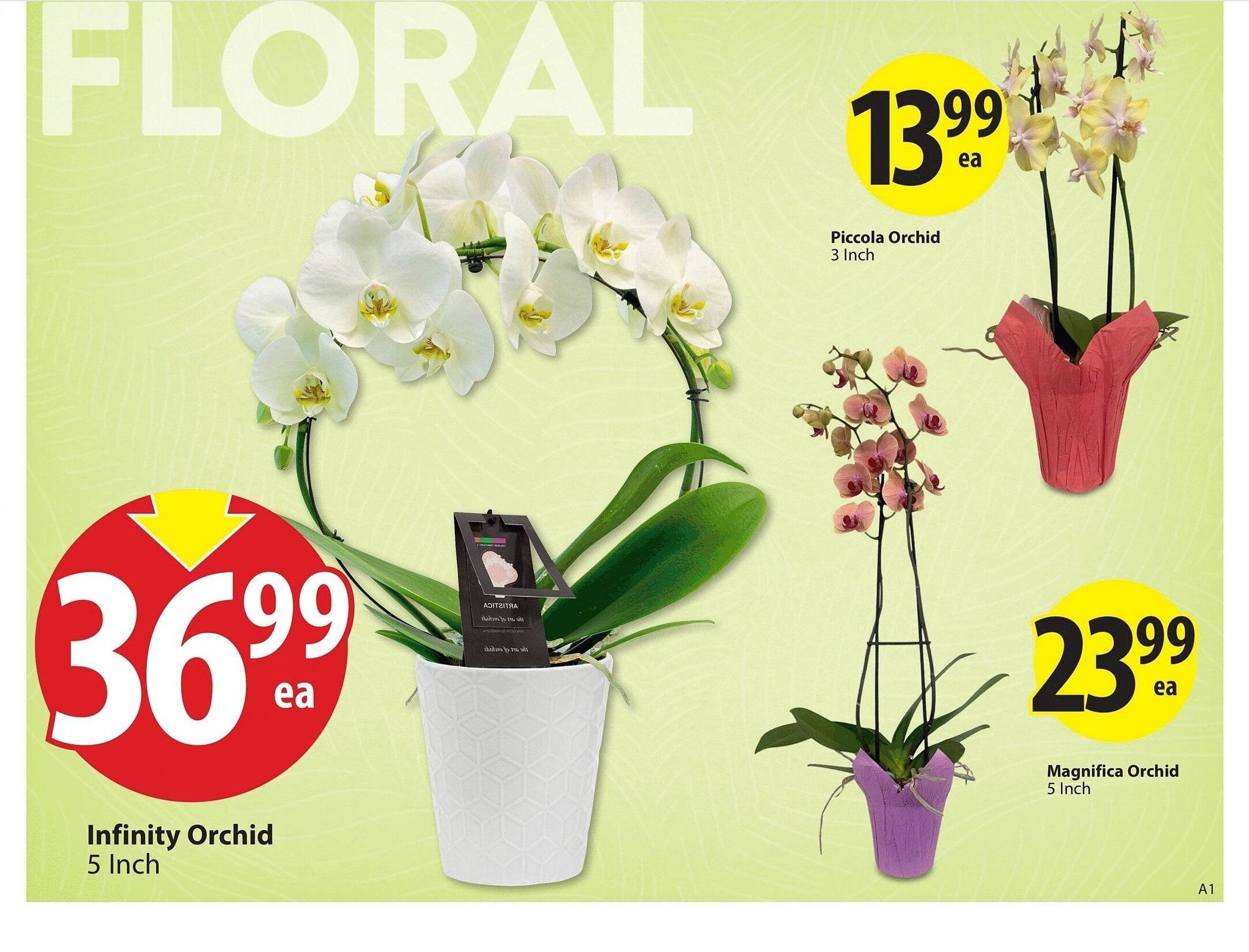 Save on Foods flyer