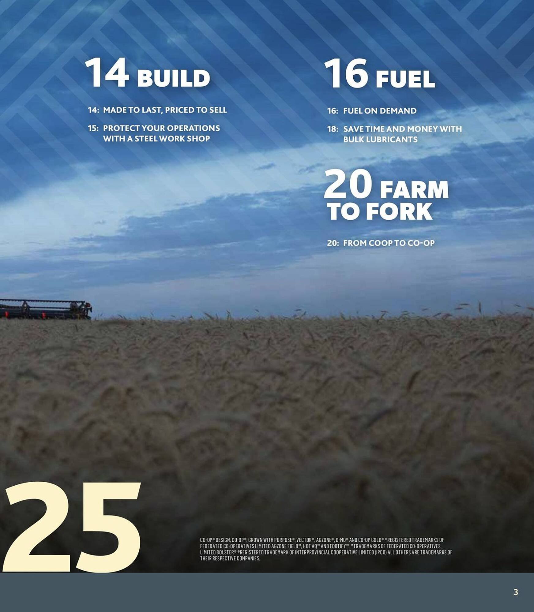 Co-op flyer