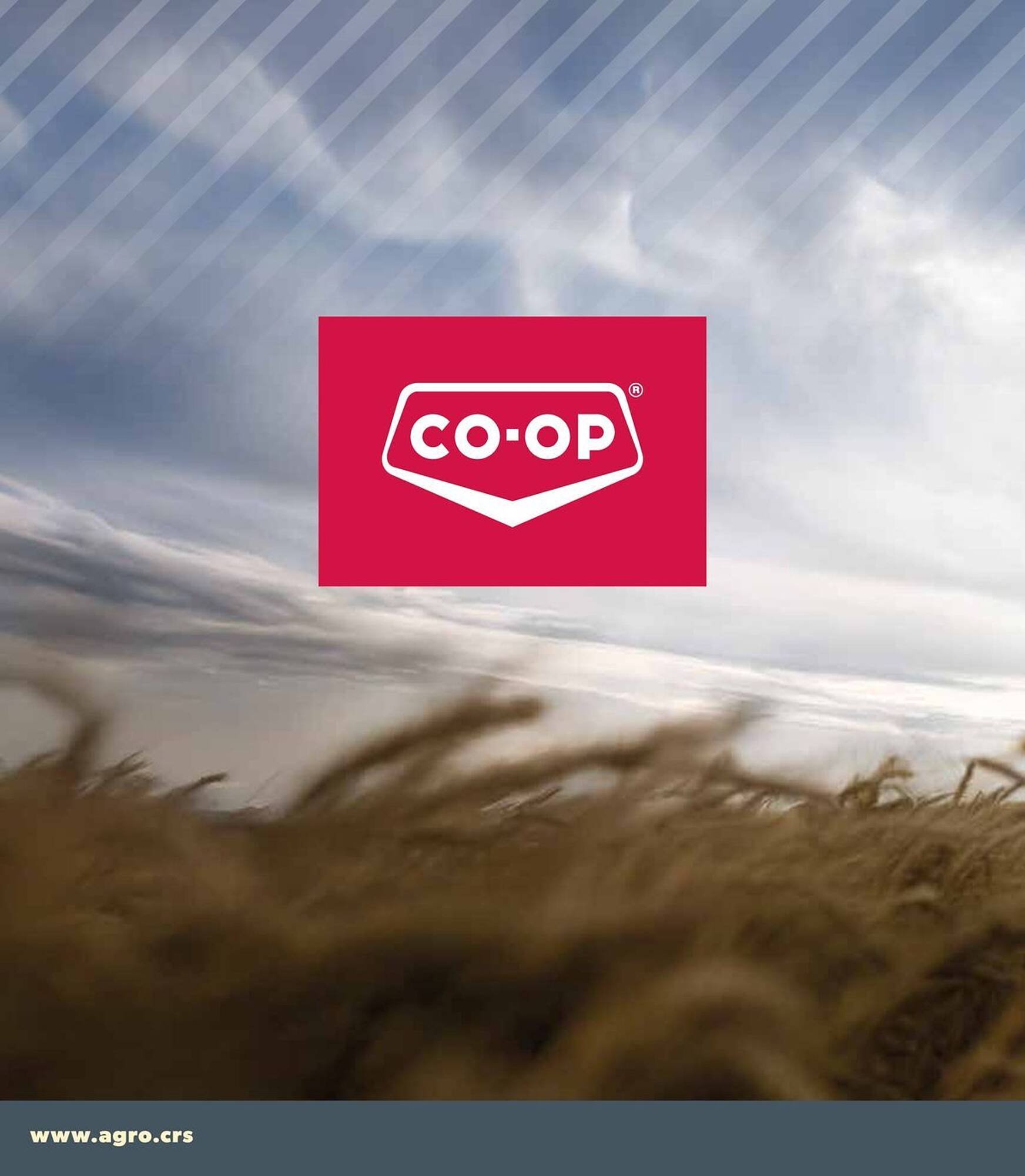 Co-op flyer