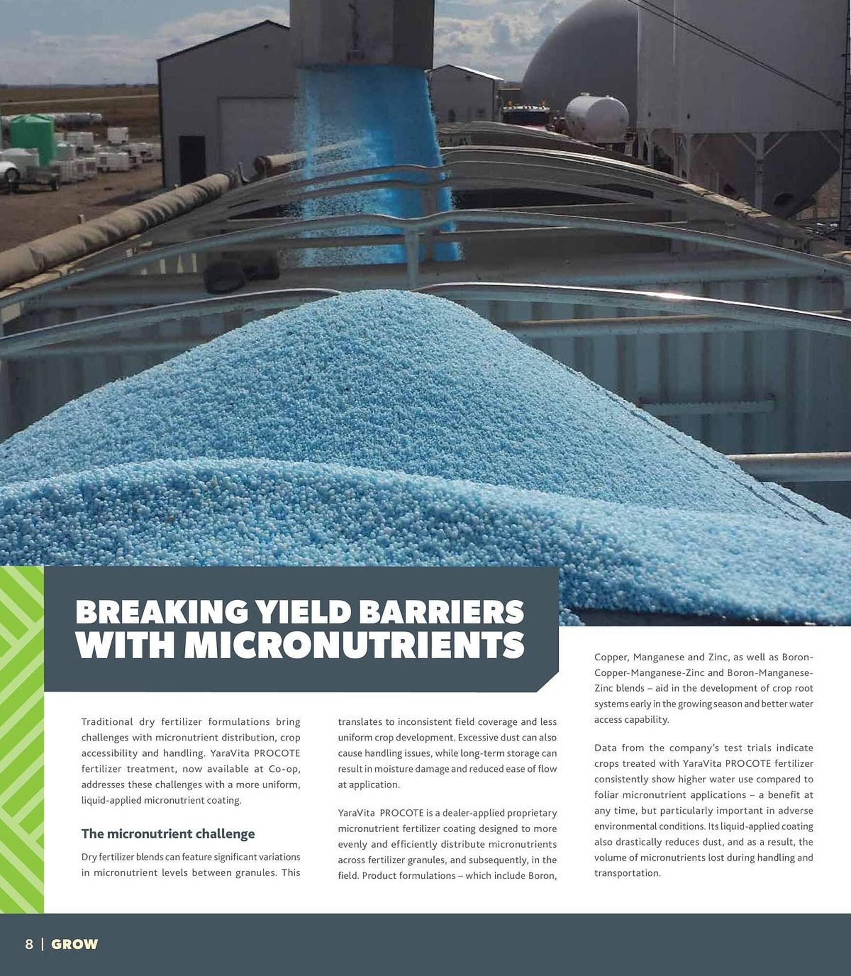 Co-op flyer