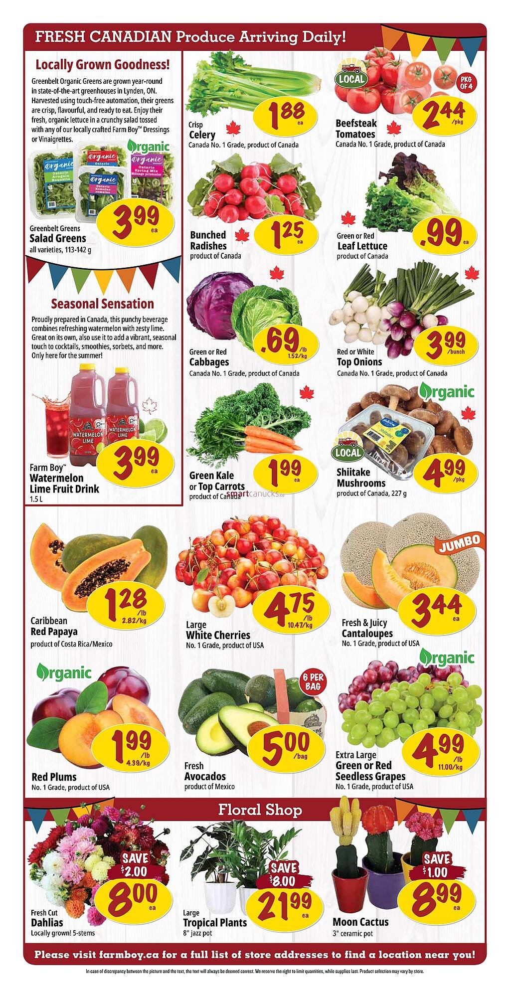 Farm Boy flyer