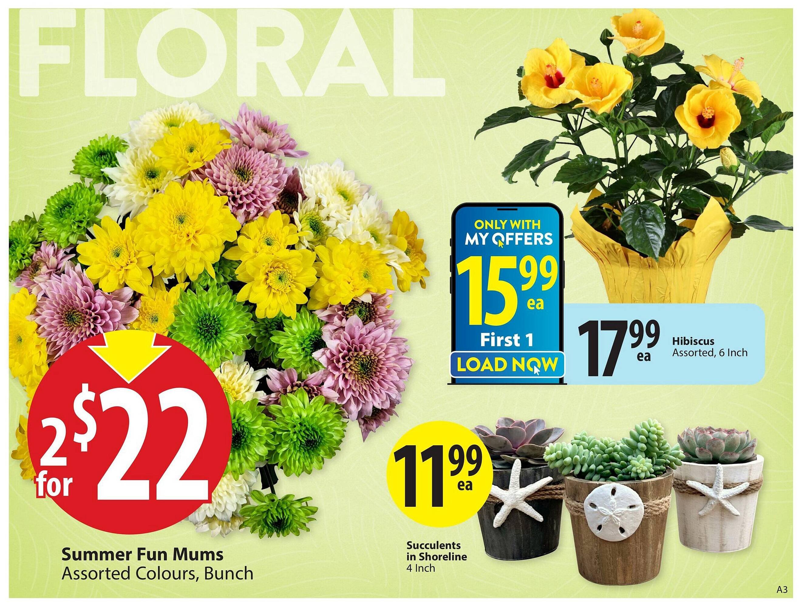 Save on Foods flyer