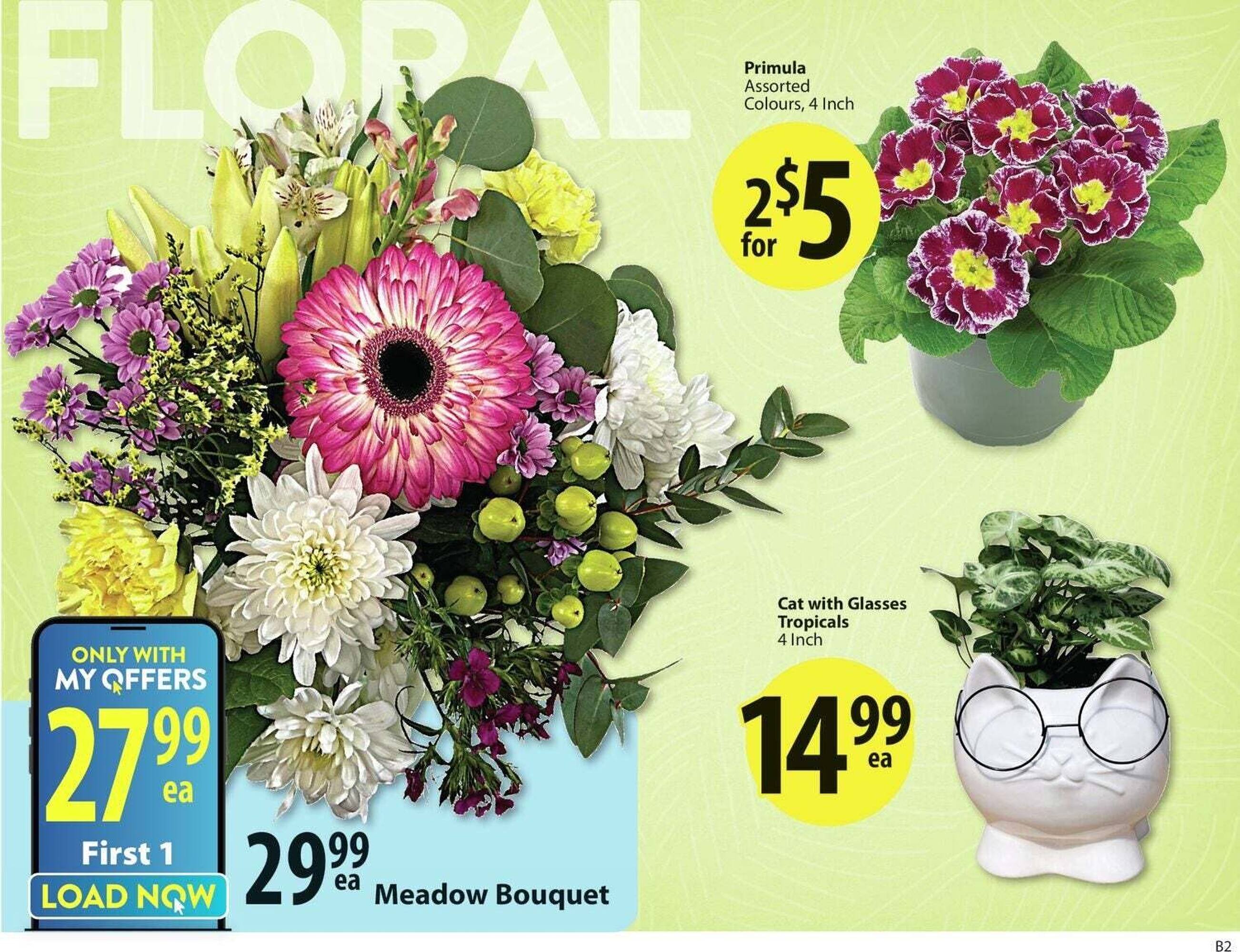 Save on Foods flyer