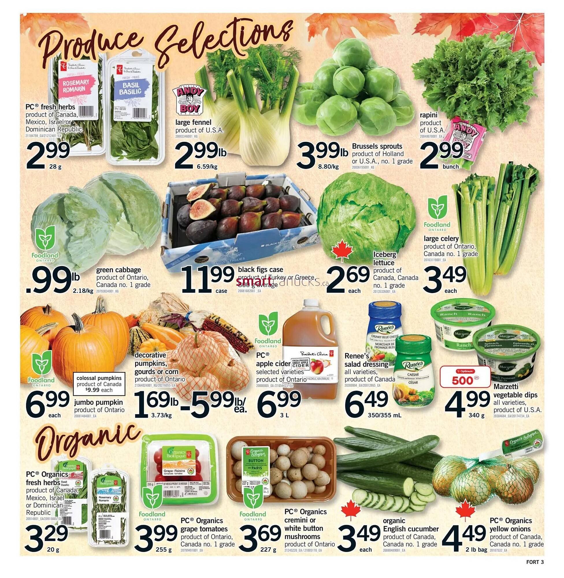Fortinos flyer