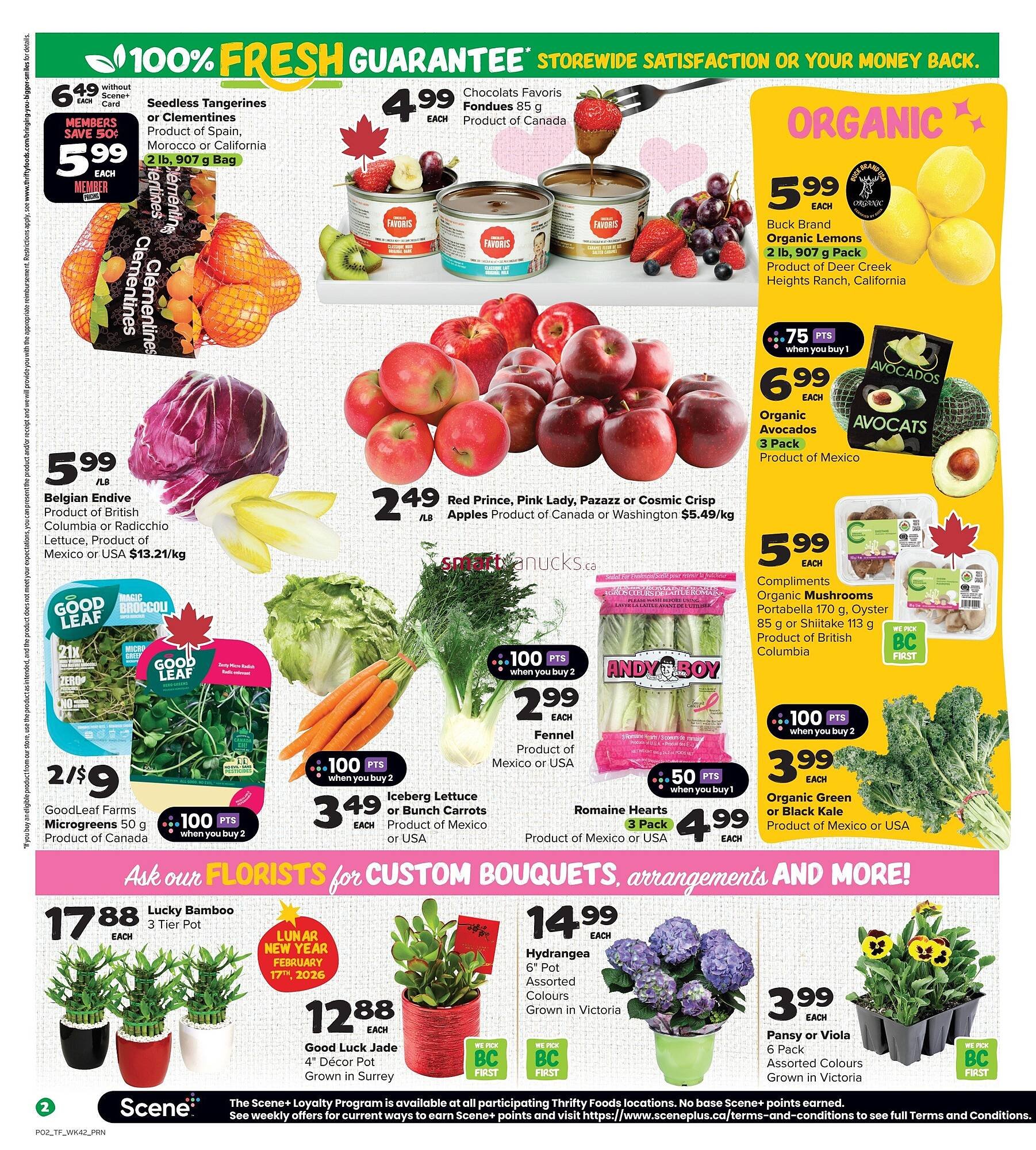 Thrifty Foods flyer (2026-02-12 - 2026-02-18) | 3