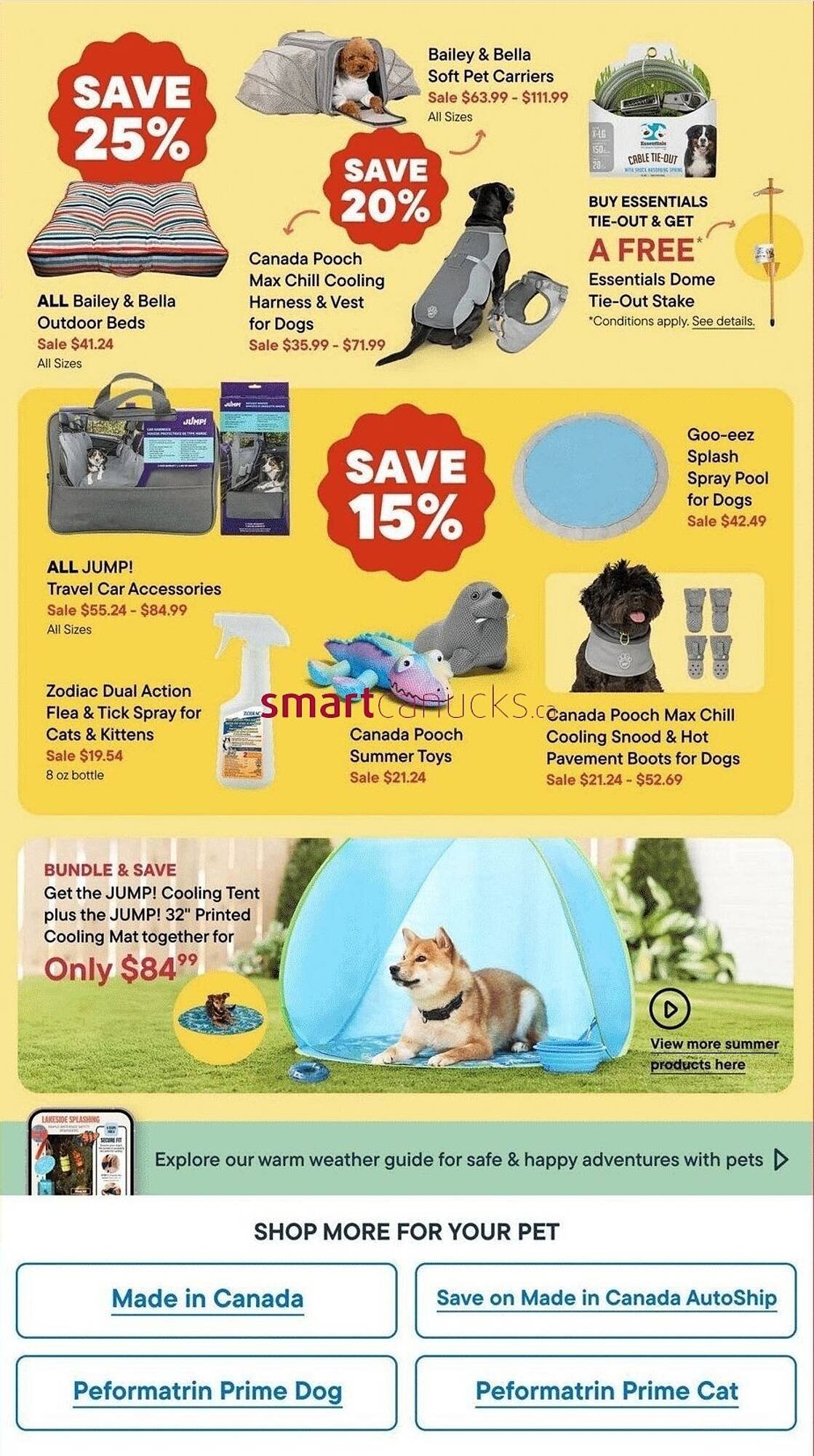 Petvalu flyer