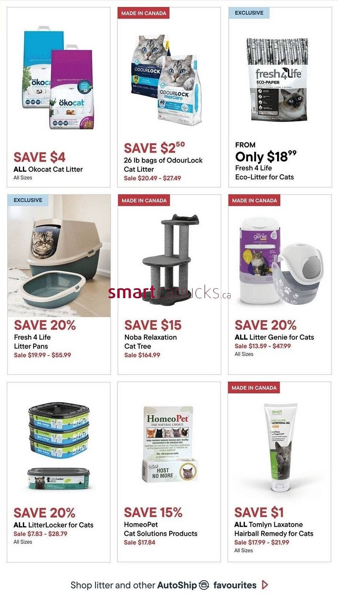 Petvalu flyer