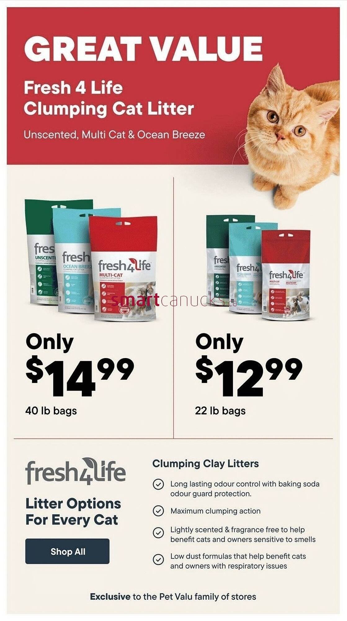 Petvalu flyer
