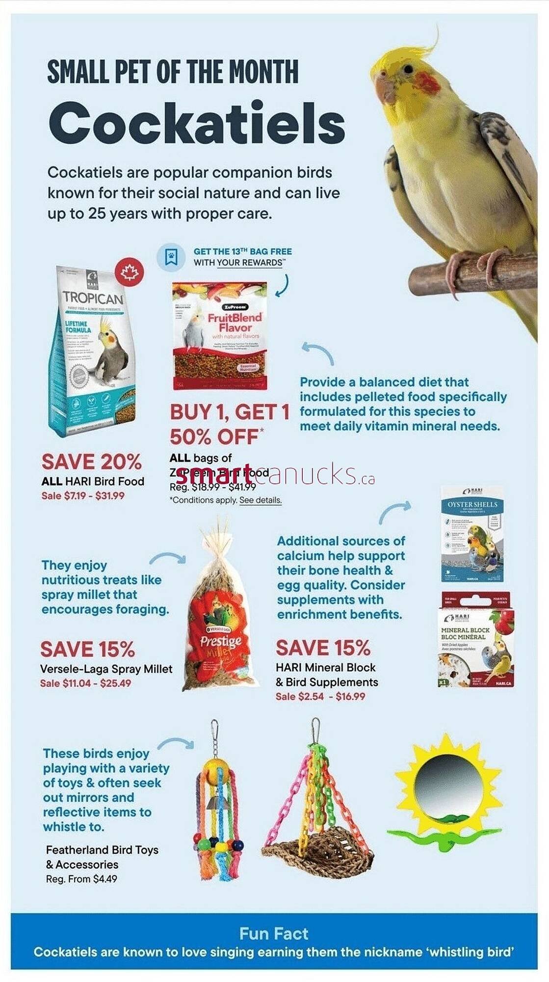 Petvalu flyer