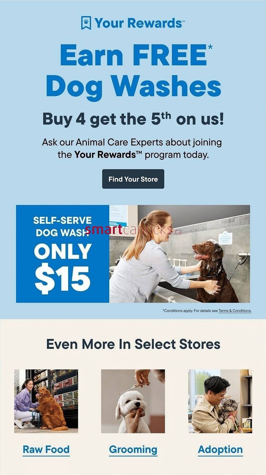 Petvalu flyer