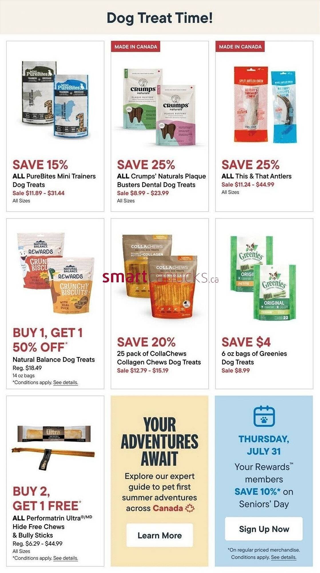 Petvalu flyer
