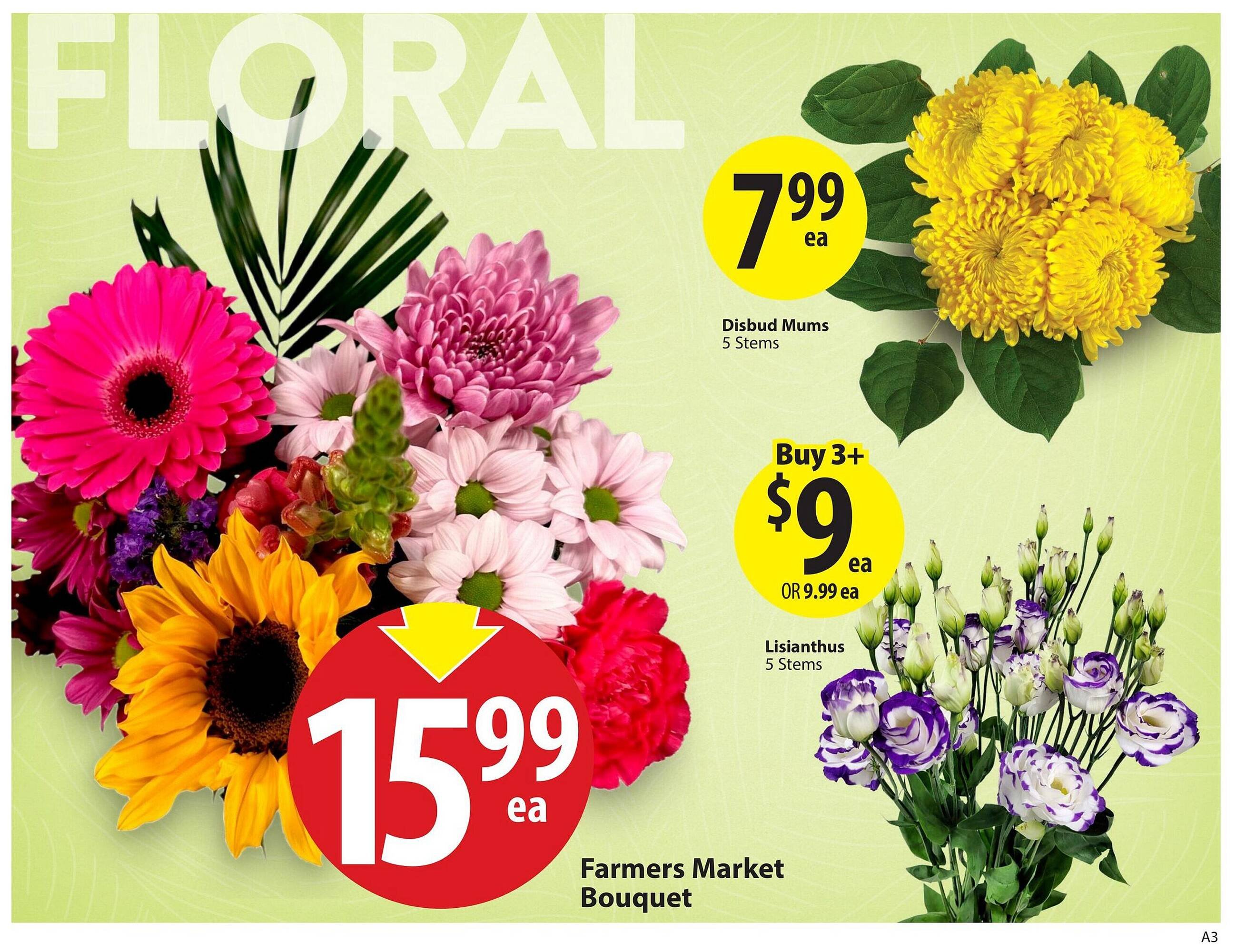 Save on Foods flyer