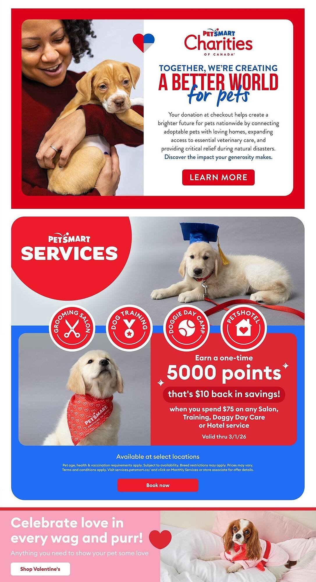 Petsmart flyer (2026-02-05 - 2026-02-08) | 3