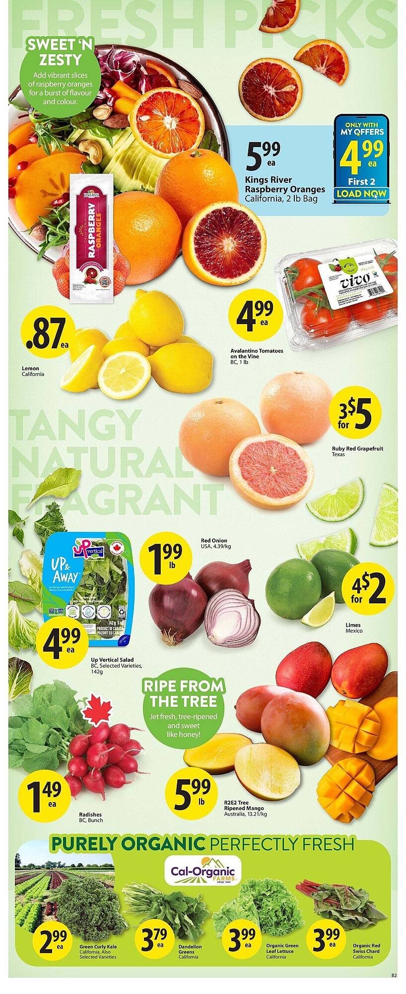 Save on Foods flyer (2026-01-01 - 2026-01-08) | 3