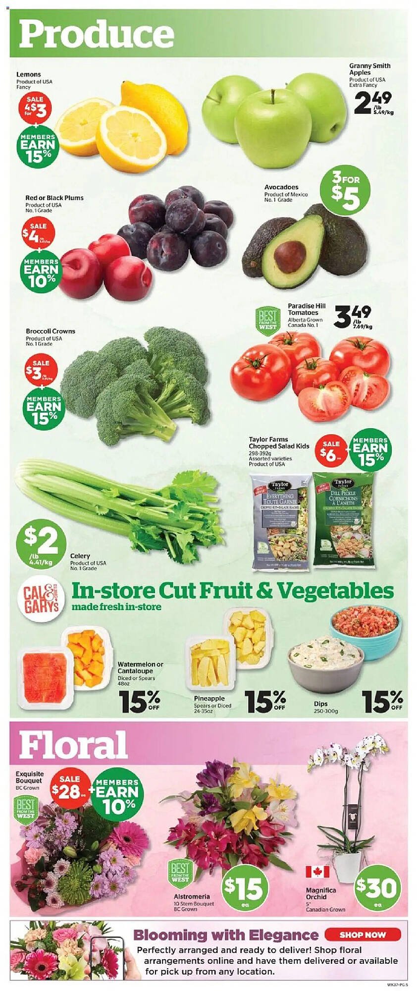 Calgary Co-op flyer