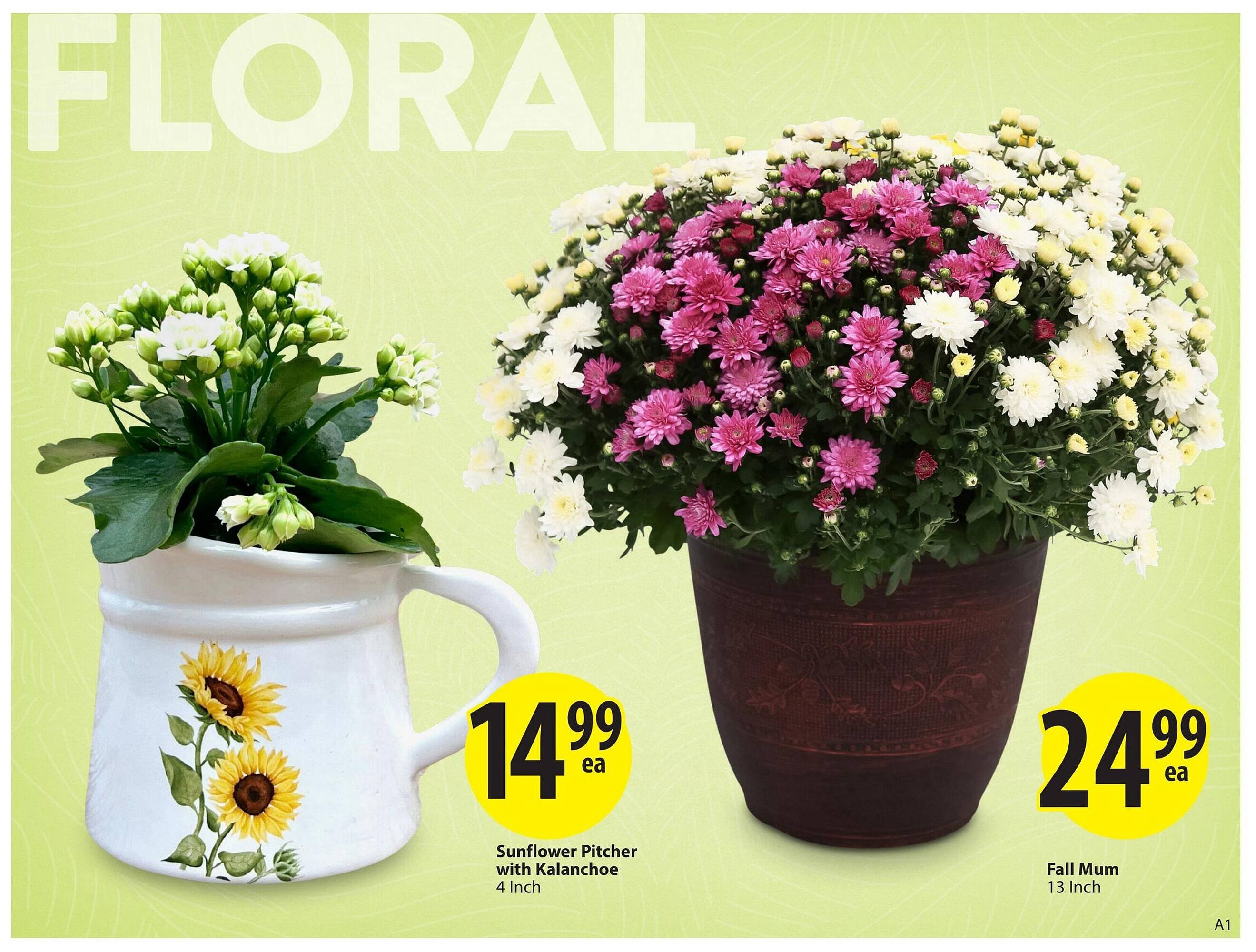 Save on Foods flyer