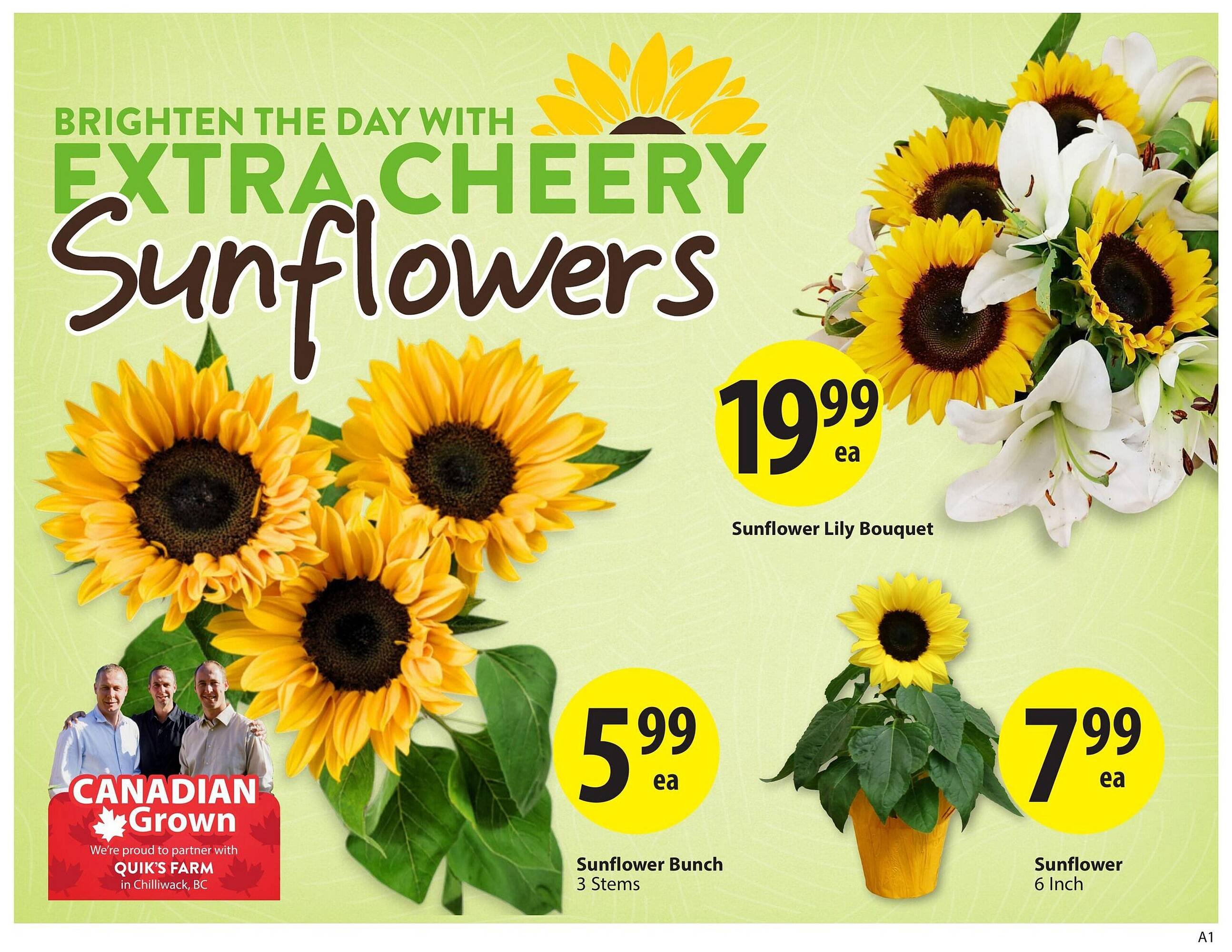 Save on Foods flyer