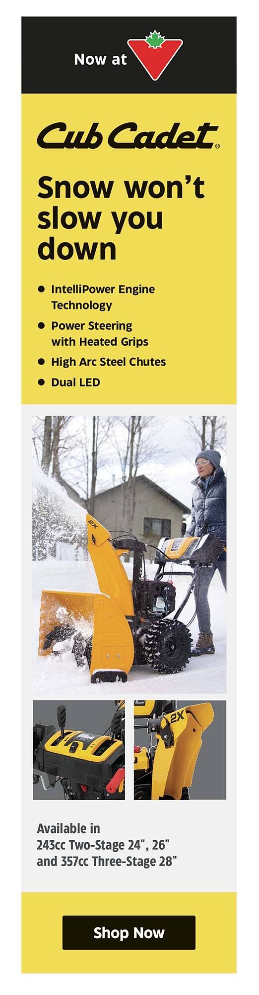 Canadian Tire flyer
