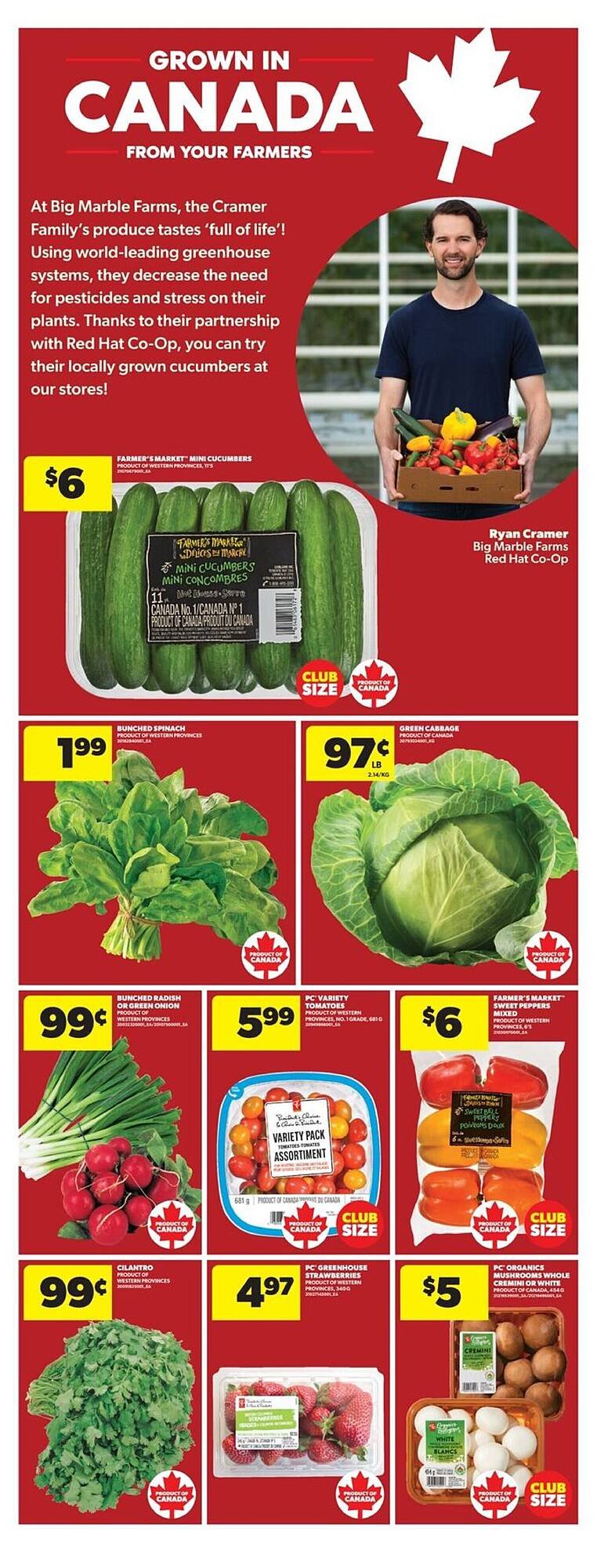 Real Canadian Superstore flyer