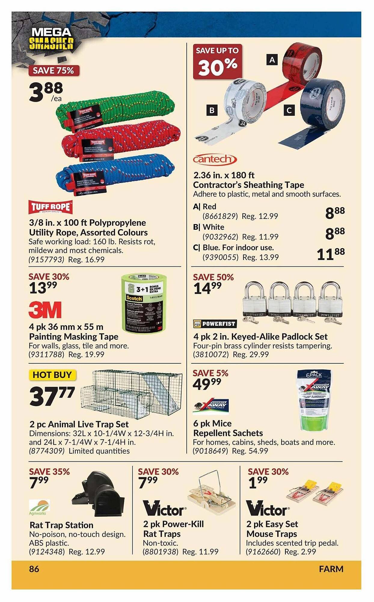 Princess Auto flyer