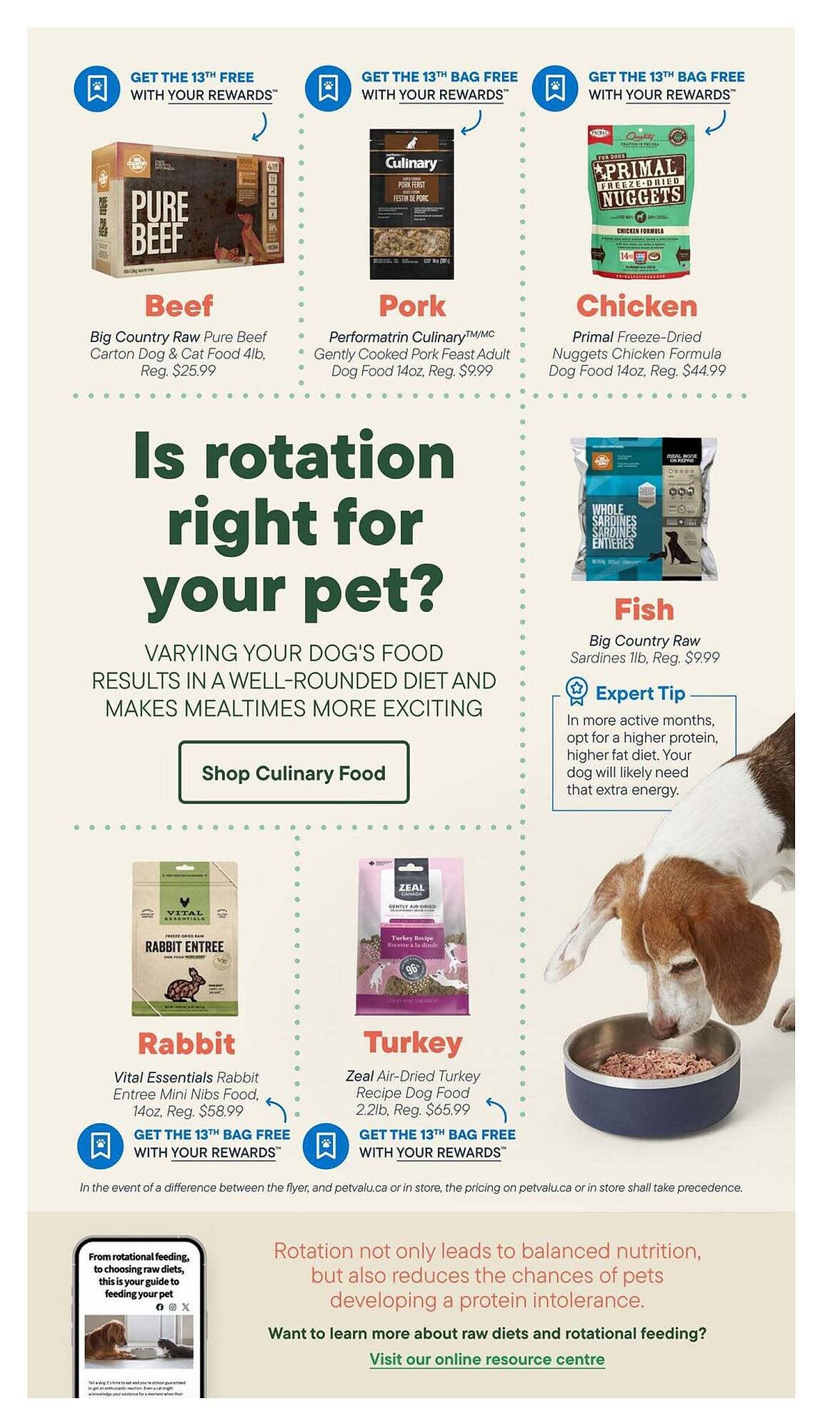 Petvalu flyer