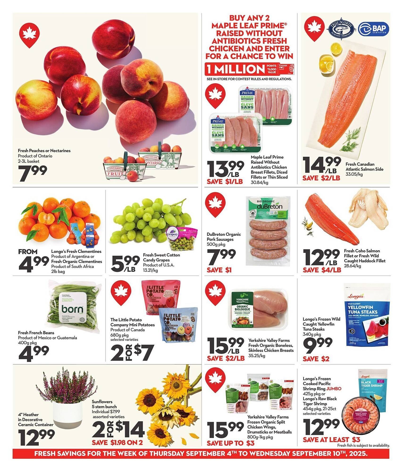 Longo's flyer