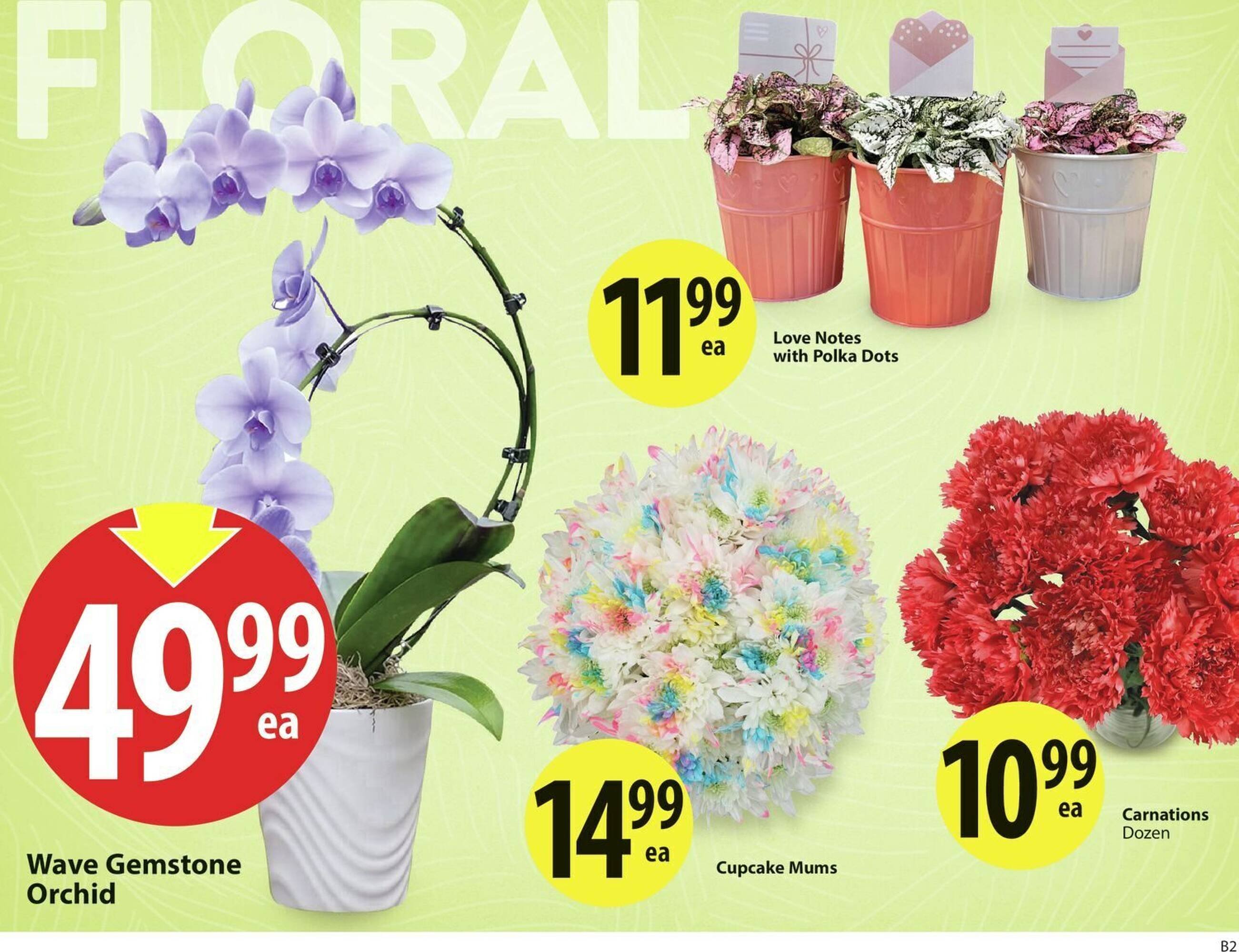 Save on Foods flyer (2026-02-05 - 2026-02-12) | 9