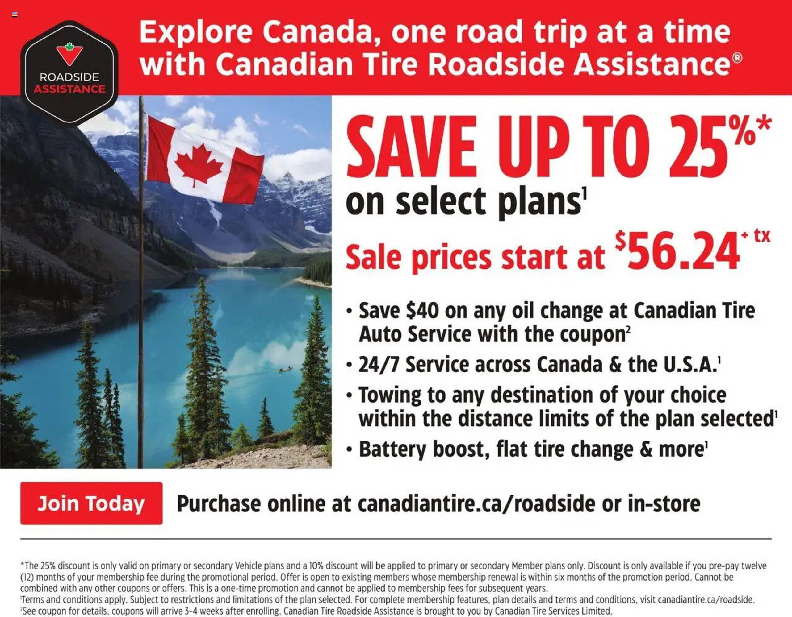 Canadian Tire flyer