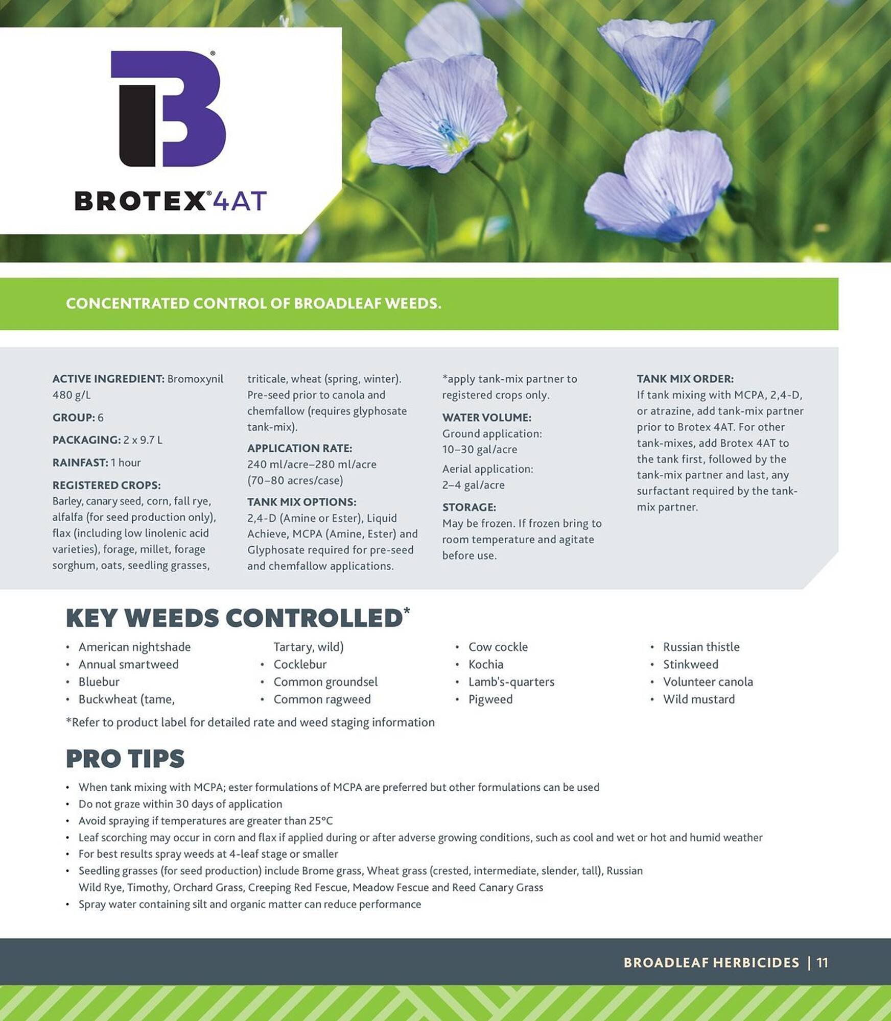 Co-Op Food flyer