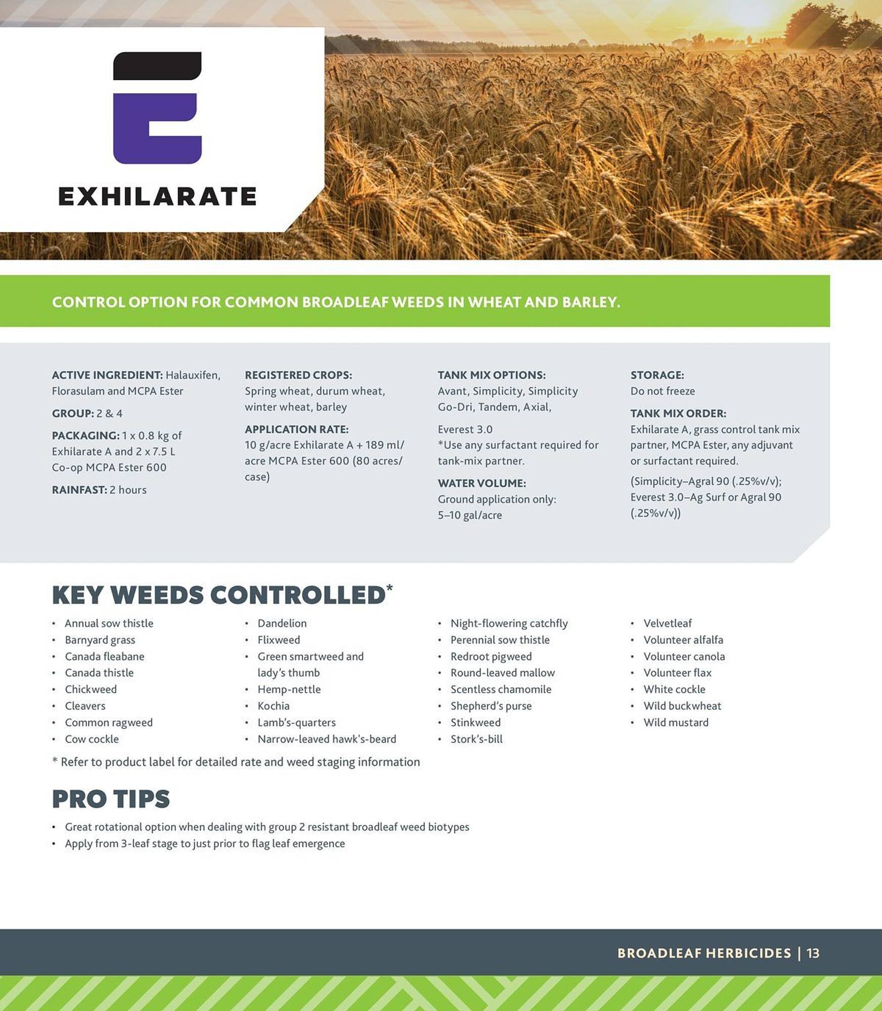 Co-Op Food flyer