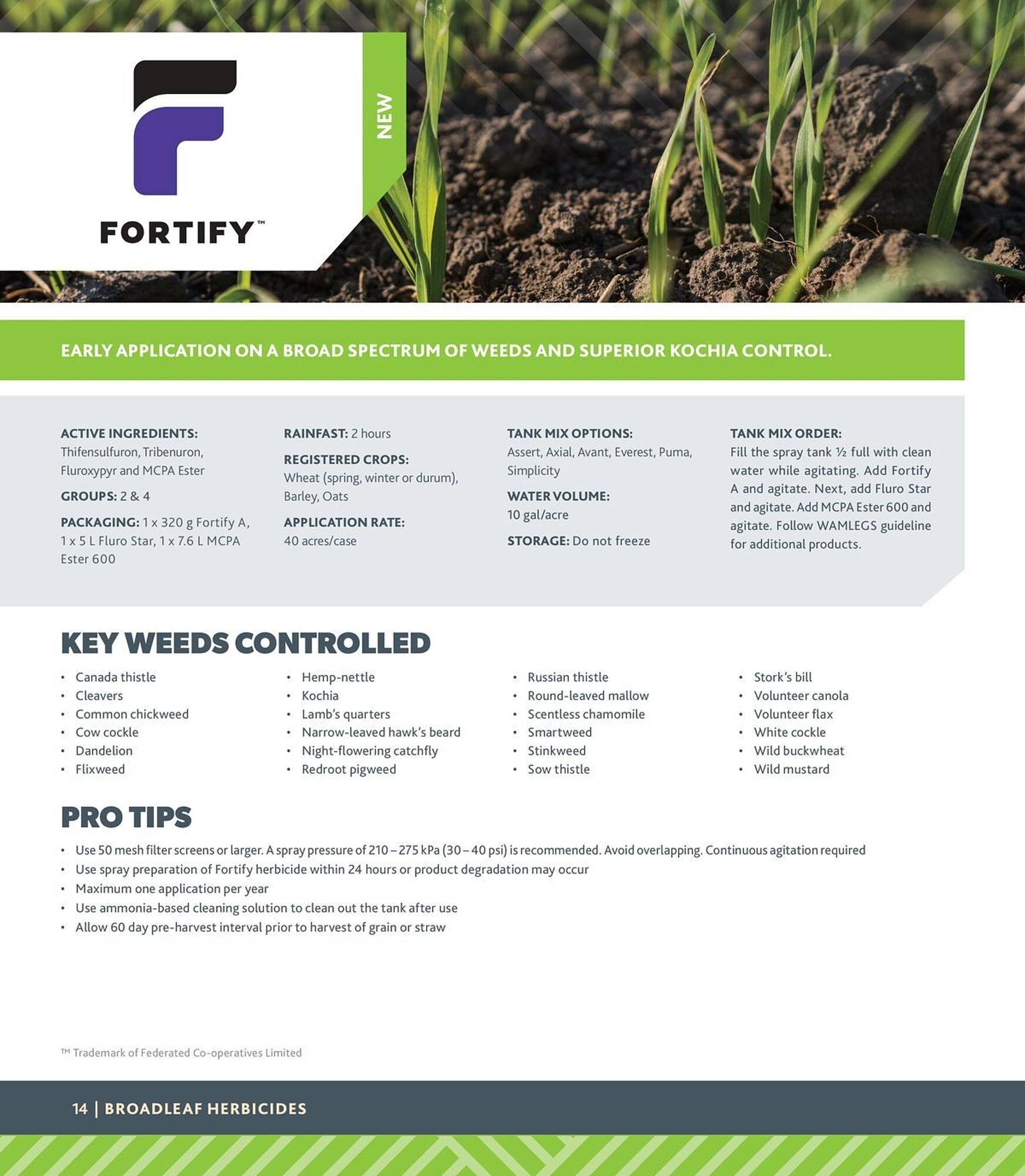 Co-Op Food flyer