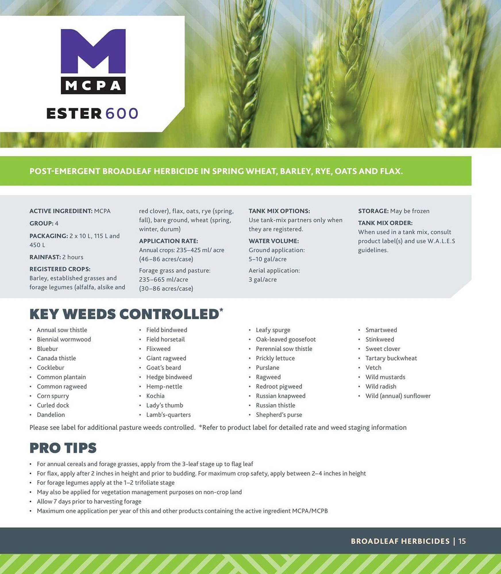Co-Op Food flyer