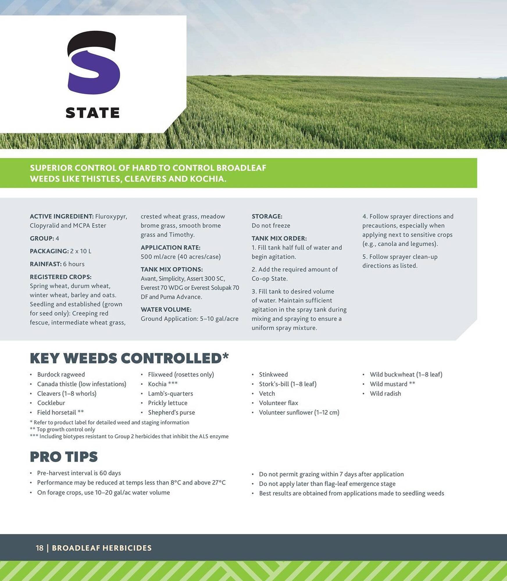 Co-Op Food flyer