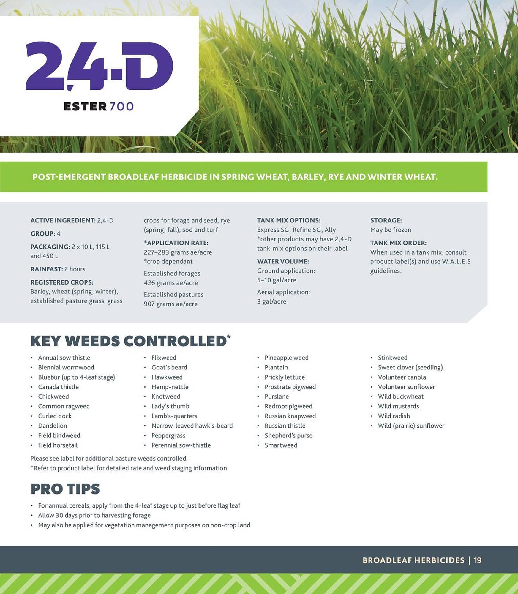 Co-Op Food flyer