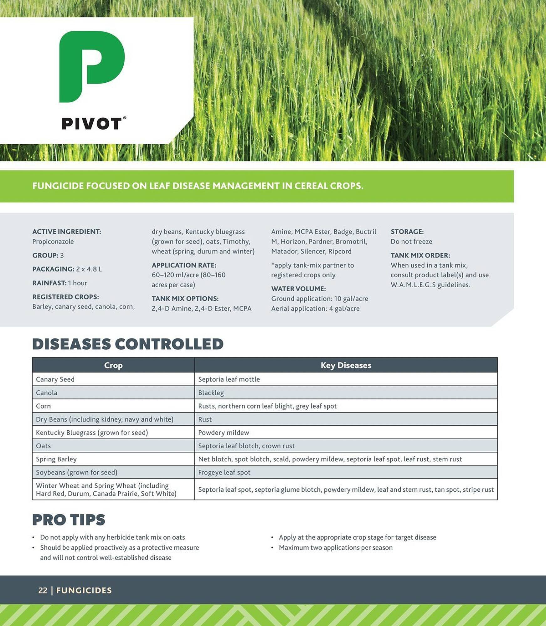 Co-Op Food flyer