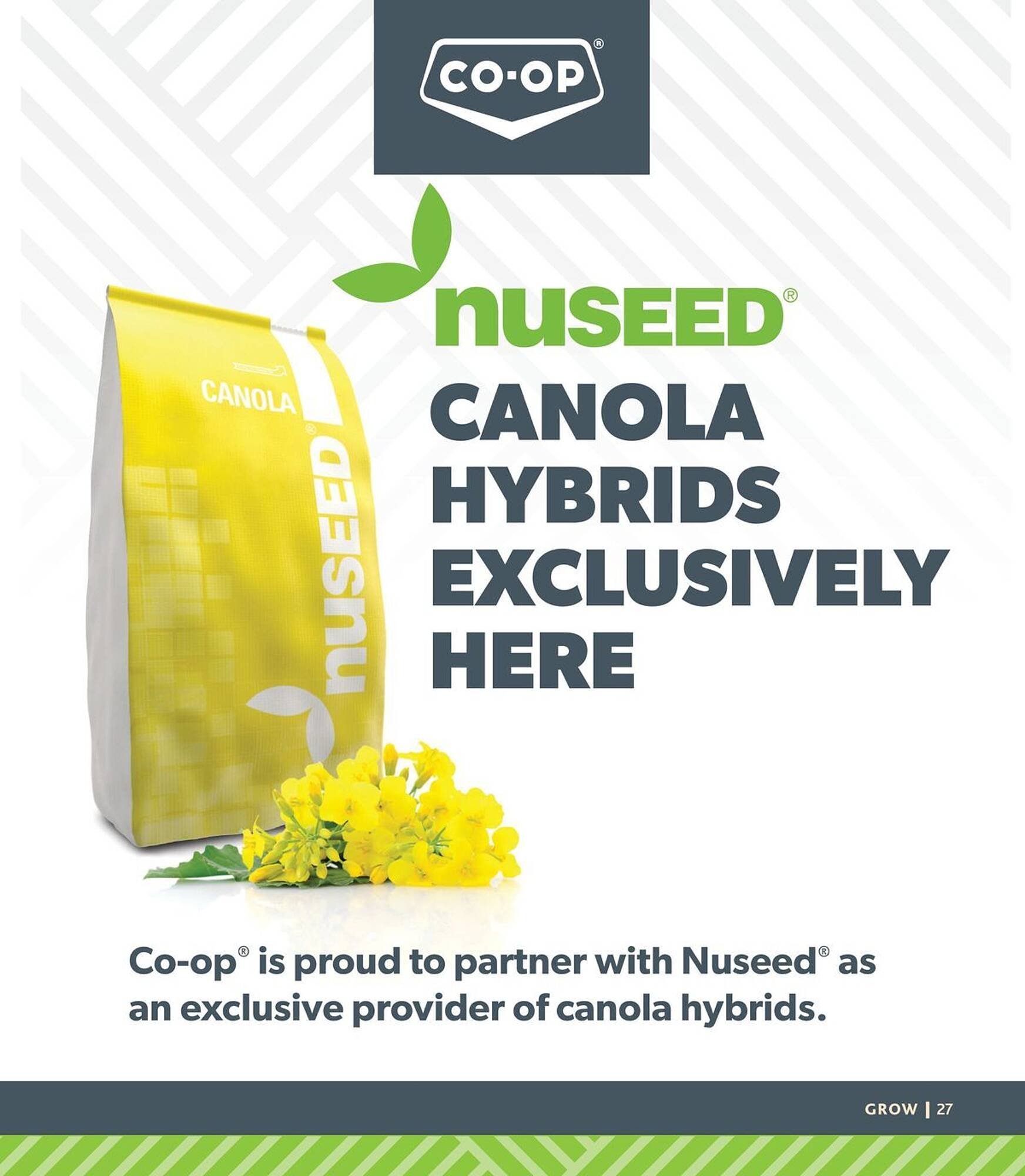 Co-Op Food flyer
