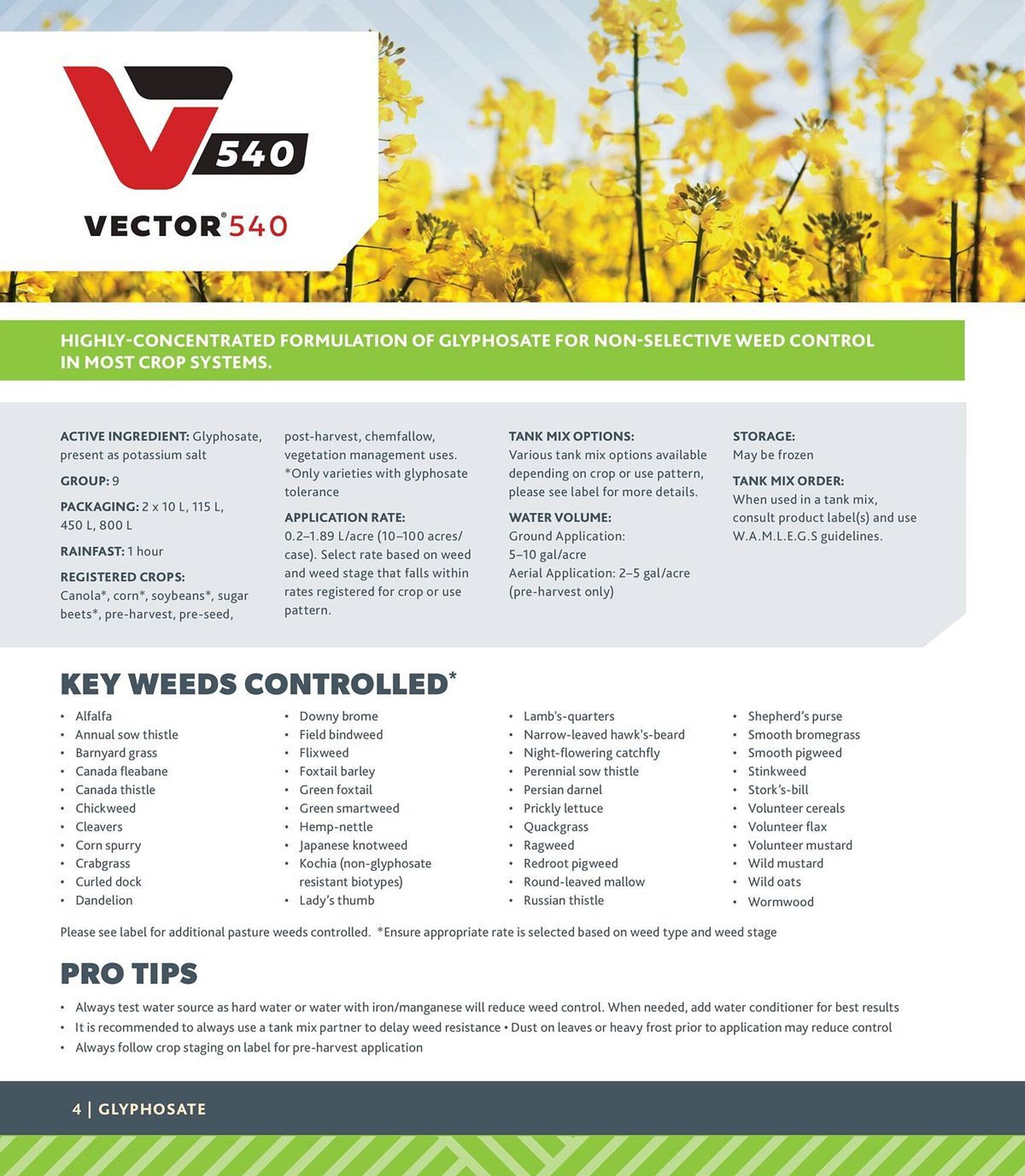 Co-Op Food flyer